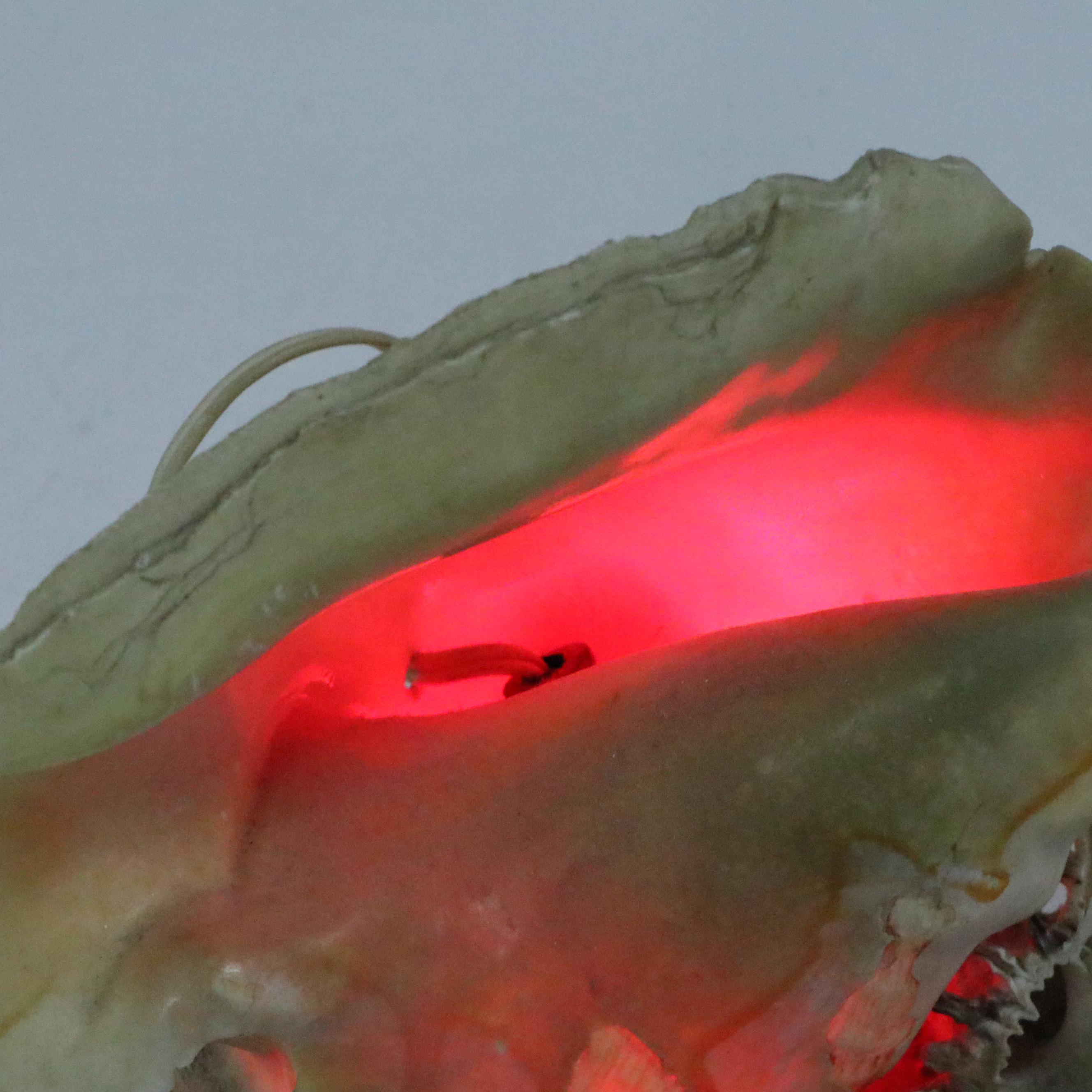 Florida Souvenir Shell Embellished Desk Lamp with Ashtray Box, Mid-20th Century