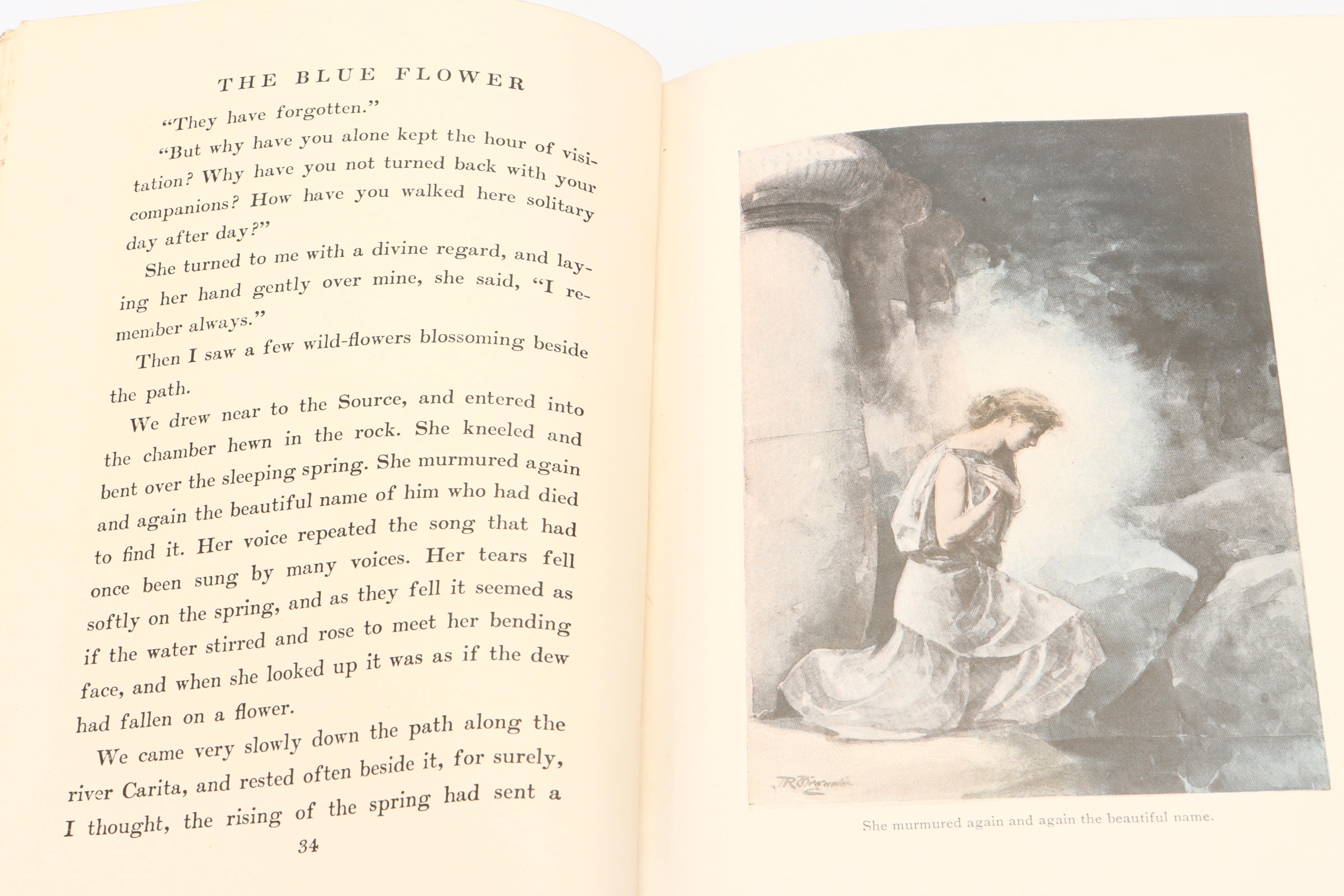 Illustrated First Edition "The Blue Flower" and More by Henry van Dyke