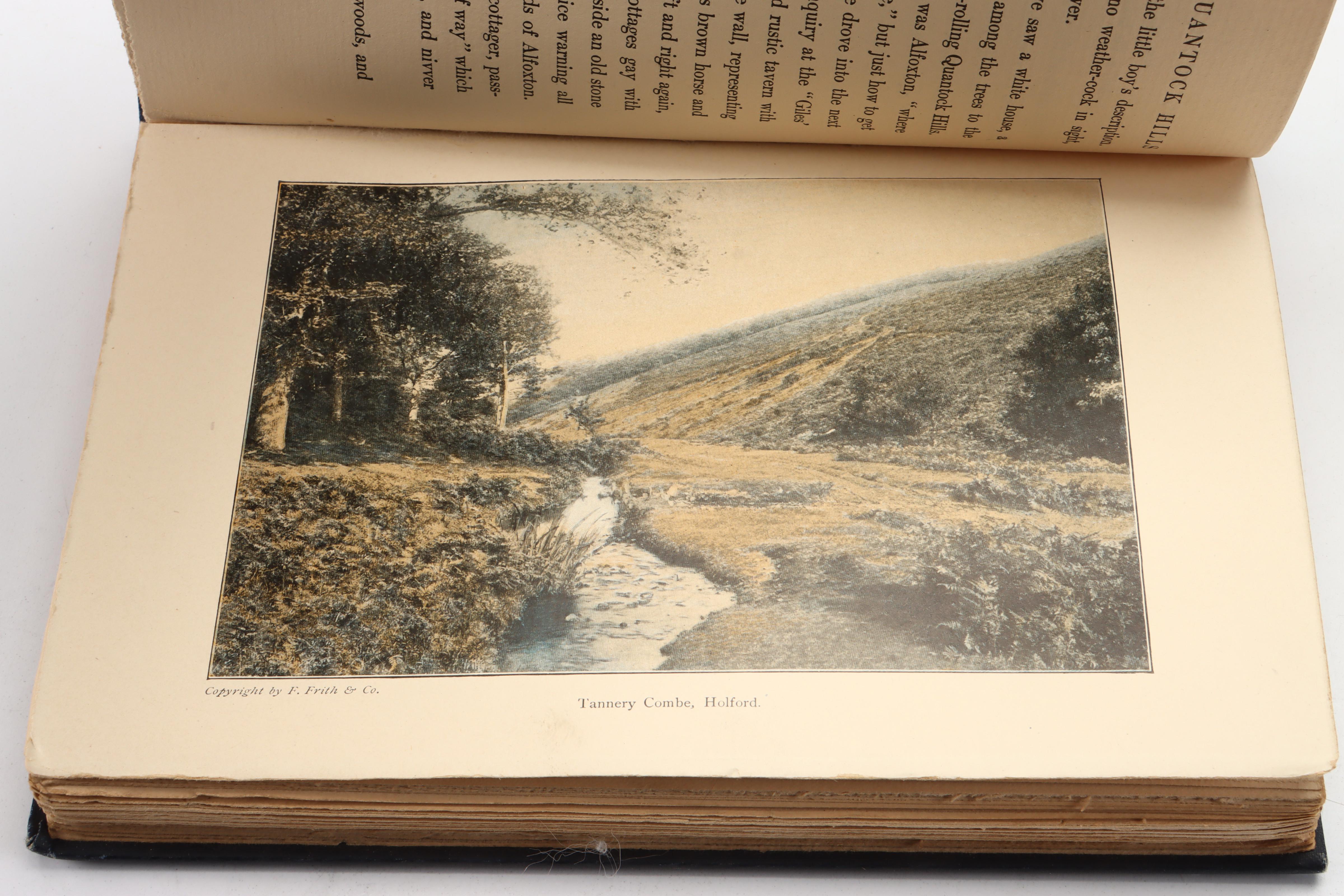 Illustrated First Edition "The Blue Flower" and More by Henry van Dyke