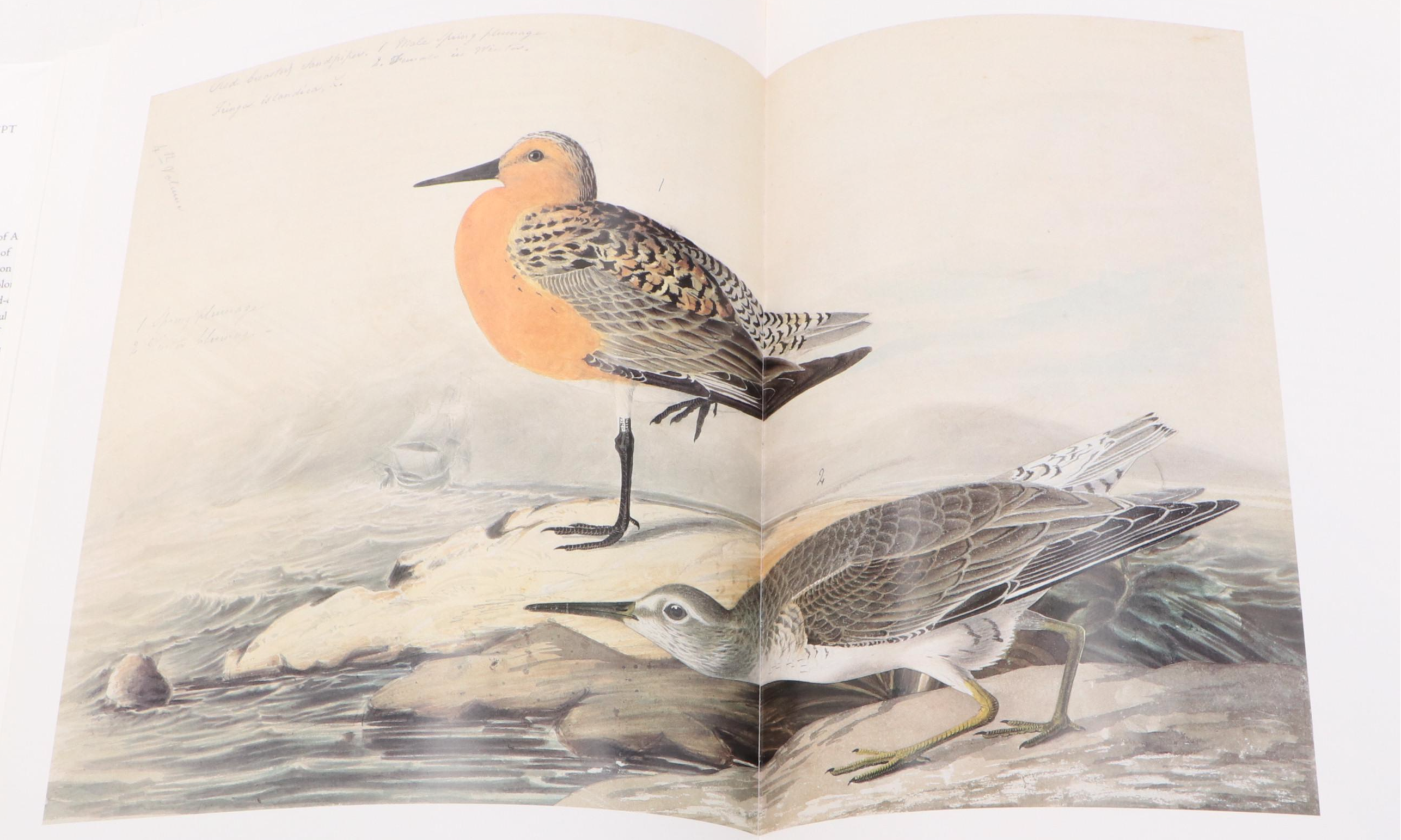 First Edition "John James Audubon: The Watercolors for The Birds of America"