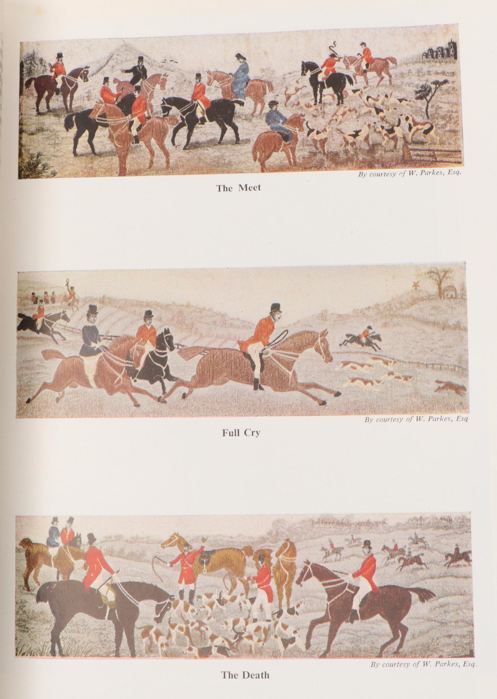 "The Book of the Horse" by Brian Vesey-Fitzgerald and More Horse Books