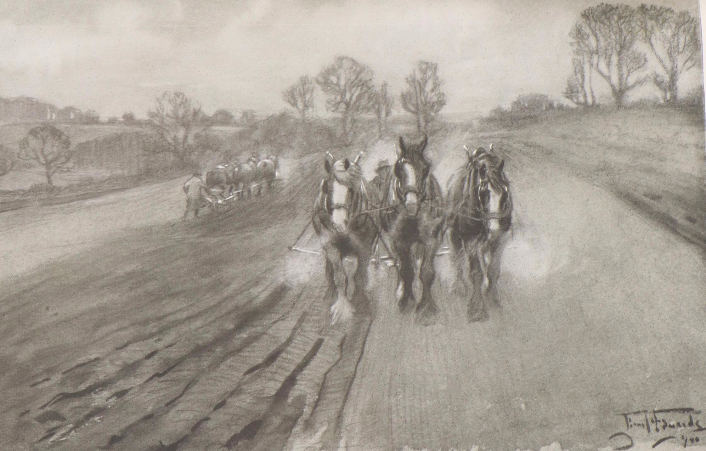 "The Book of the Horse" by Brian Vesey-Fitzgerald and More Horse Books