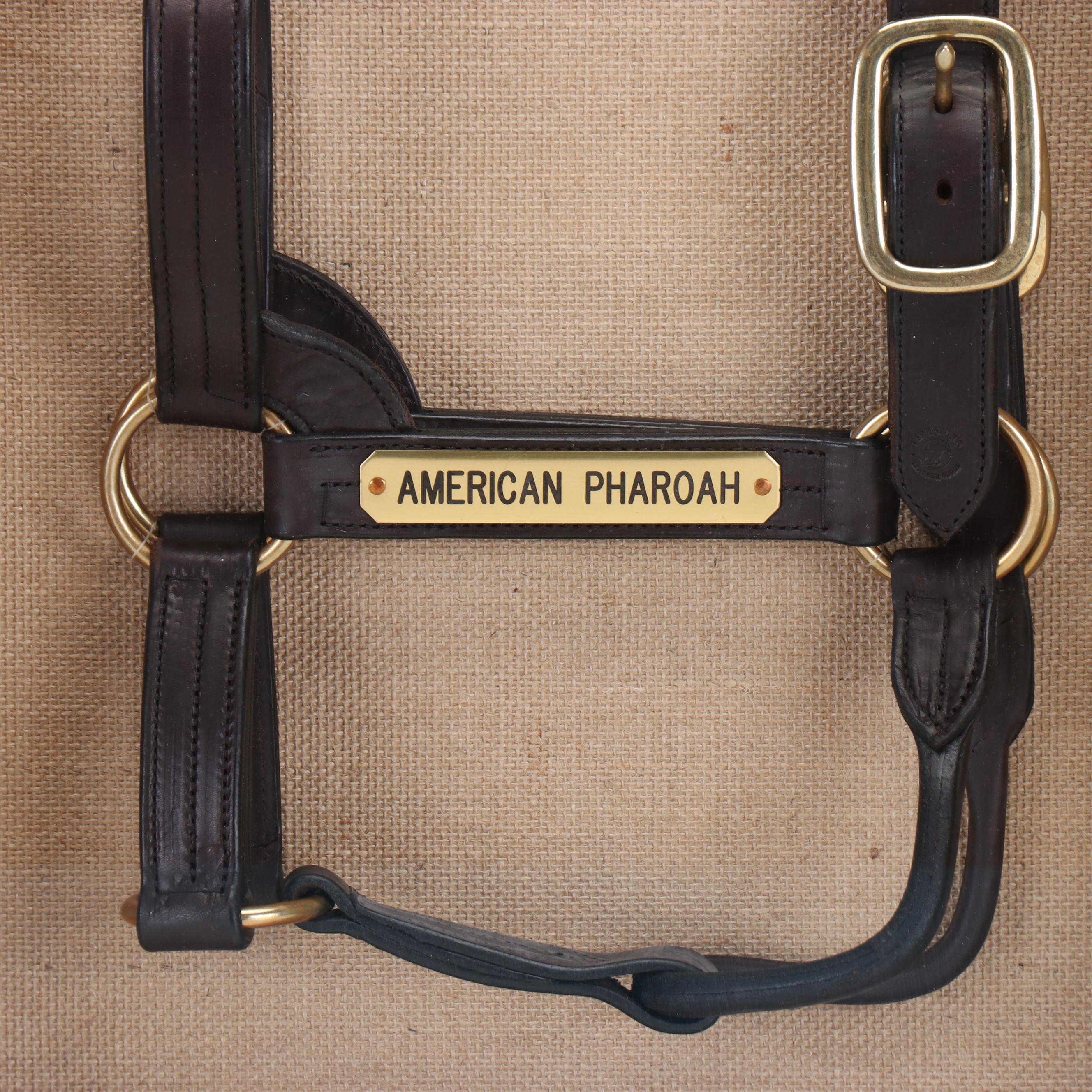 Triple Crown Winner American Pharoah Worn Leather Halter in Display Box