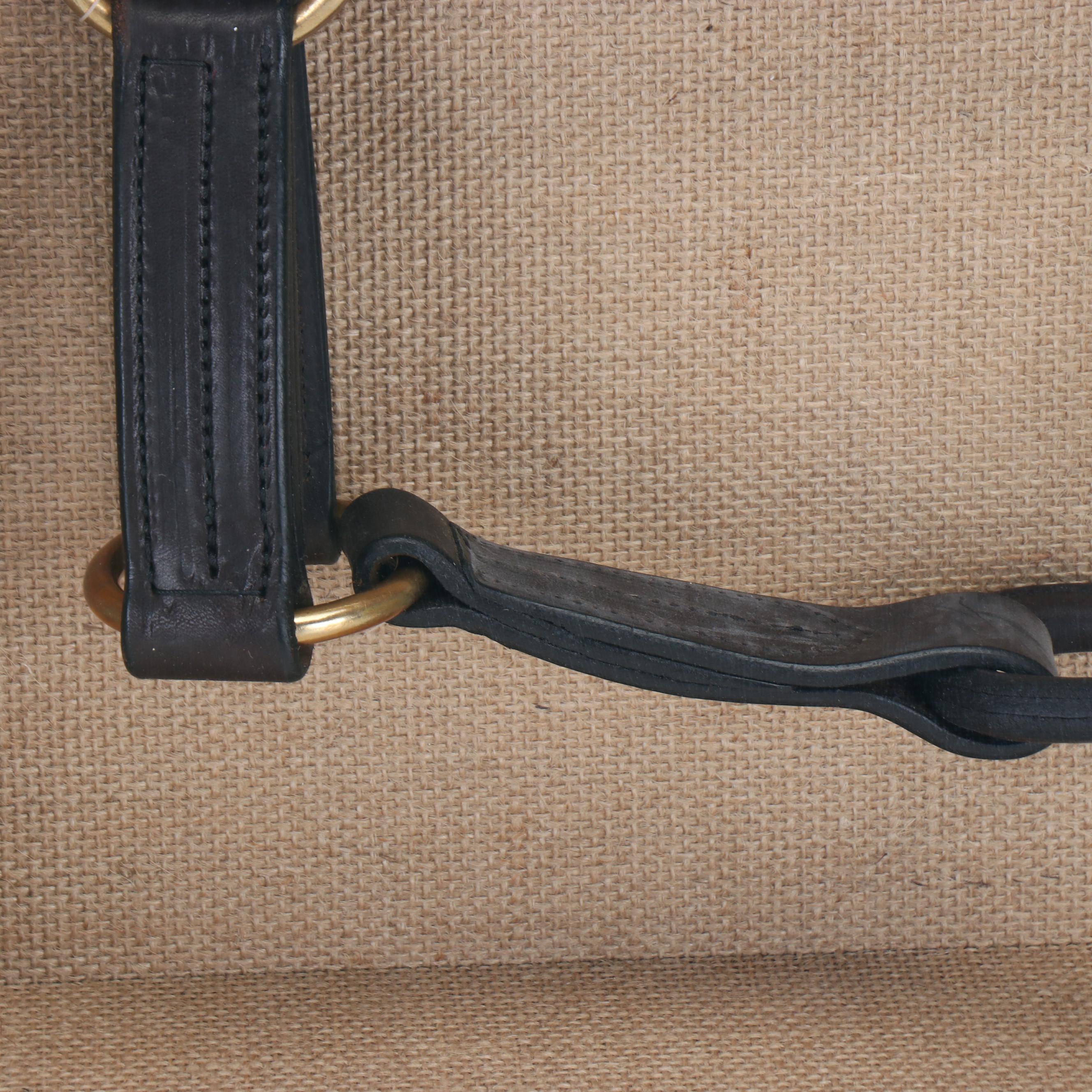 Triple Crown Winner American Pharoah Worn Leather Halter in Display Box