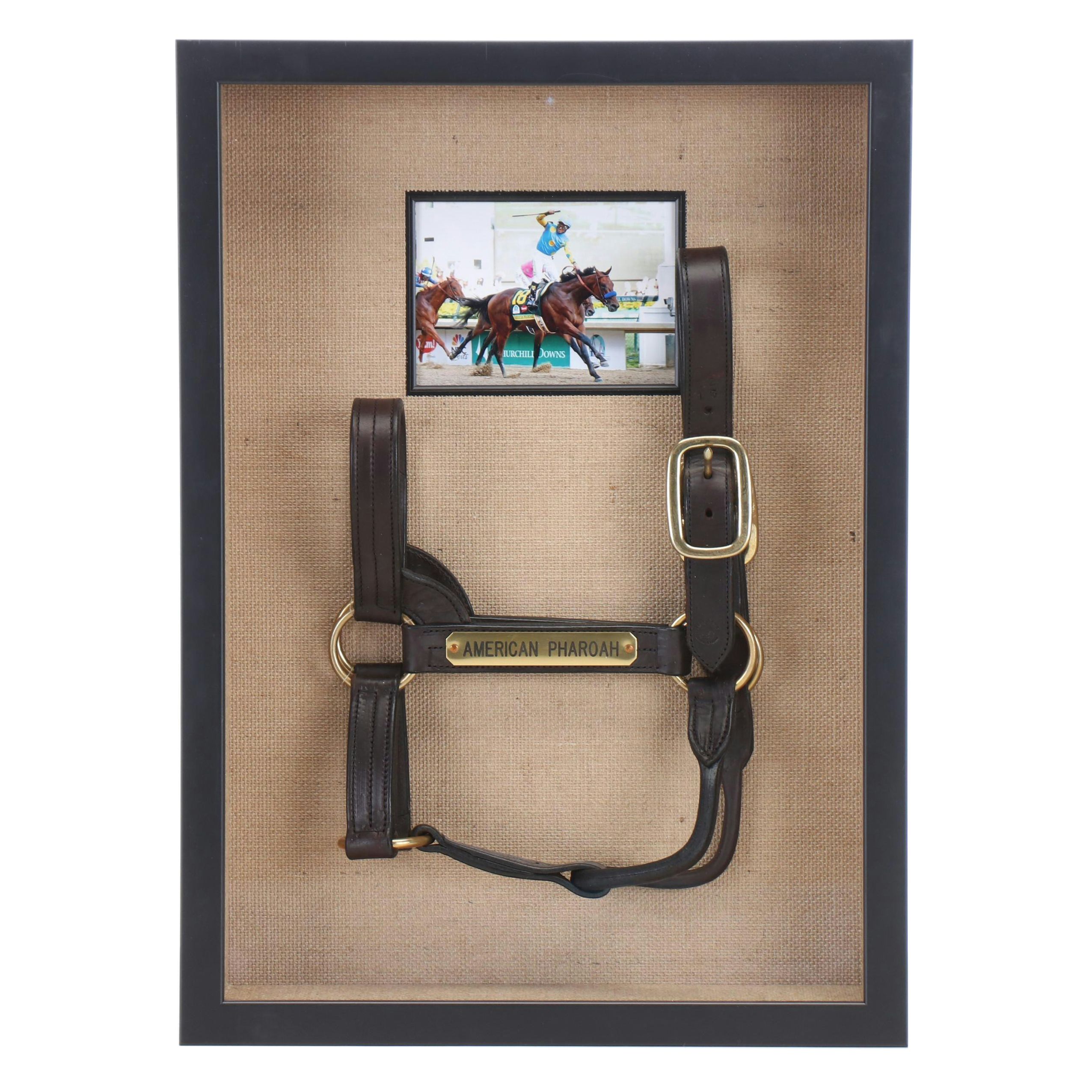 Triple Crown Winner American Pharoah Worn Leather Halter in Display Box