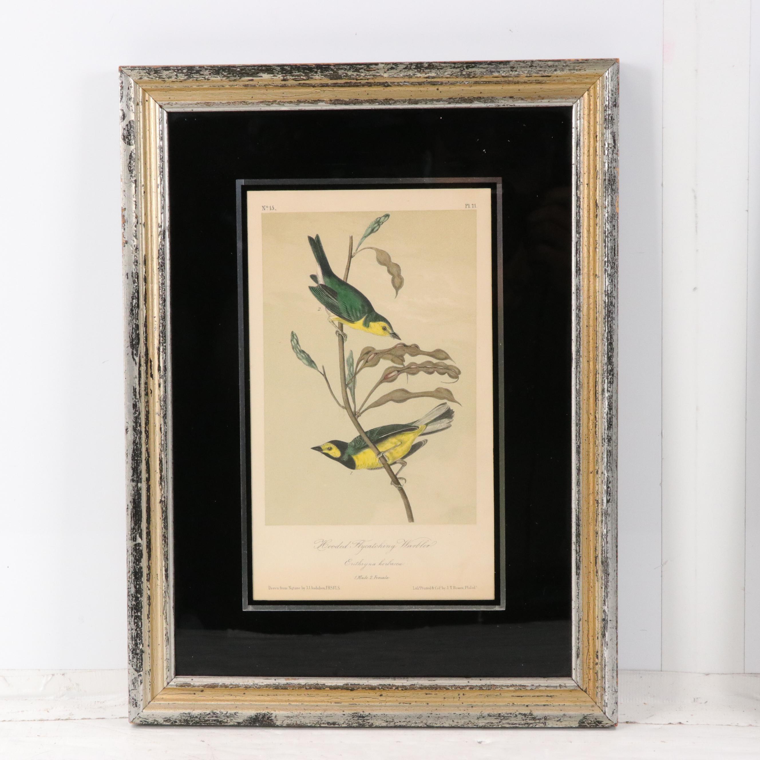 John Audubon Hand-Colored Ornithological Lithographs With Verre Églomisé Borders