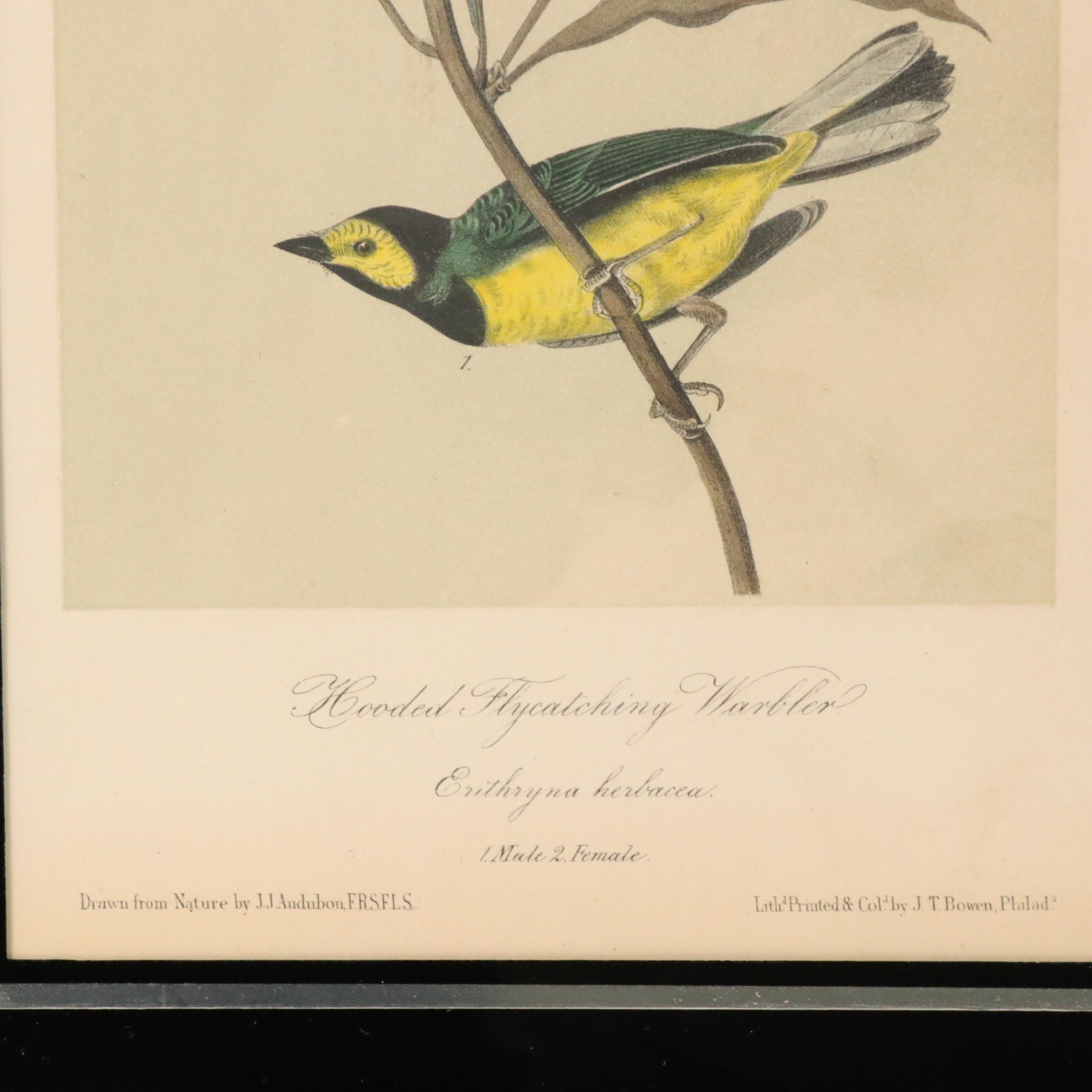 John Audubon Hand-Colored Ornithological Lithographs With Verre Églomisé Borders