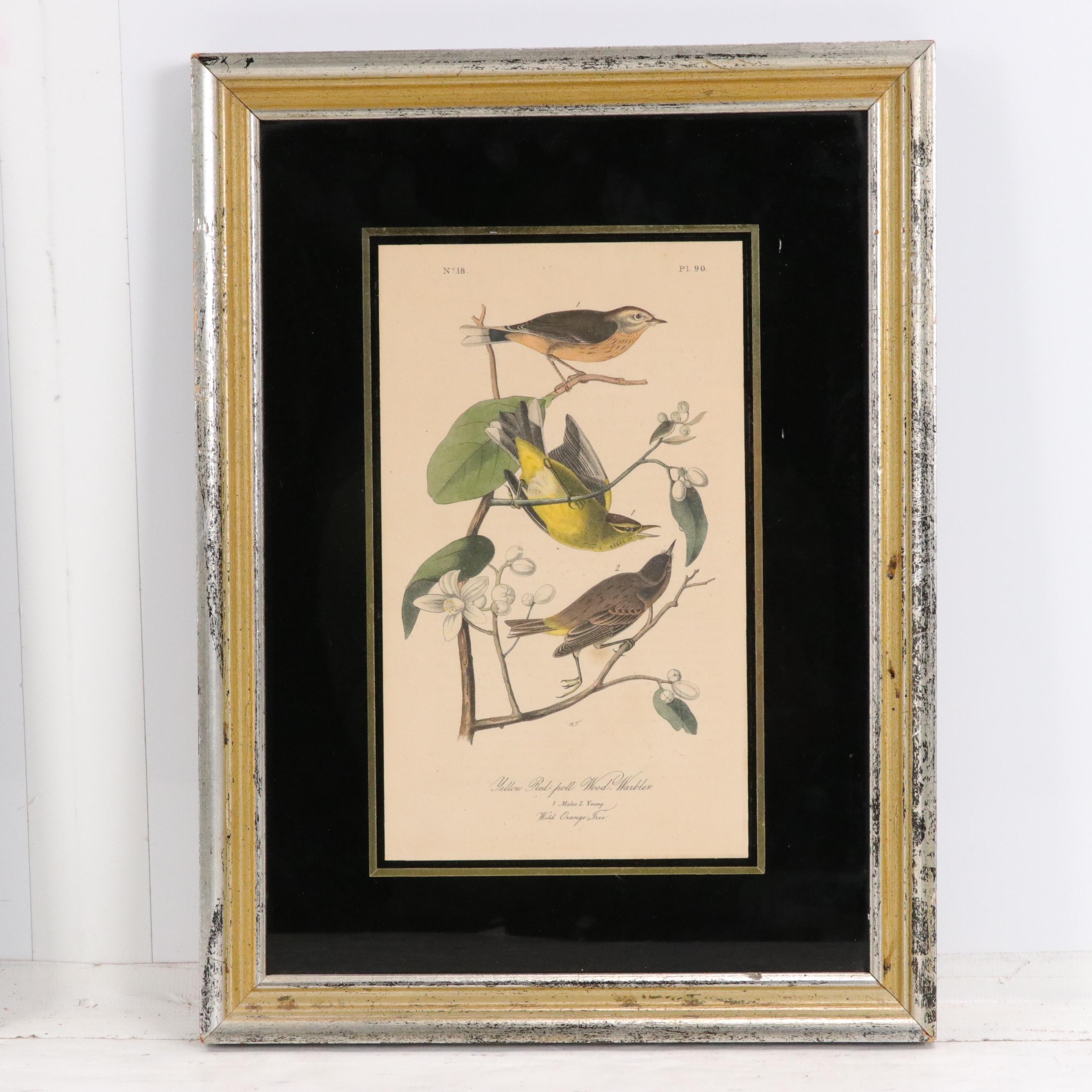 John Audubon Hand-Colored Ornithological Lithographs With Verre Églomisé Borders