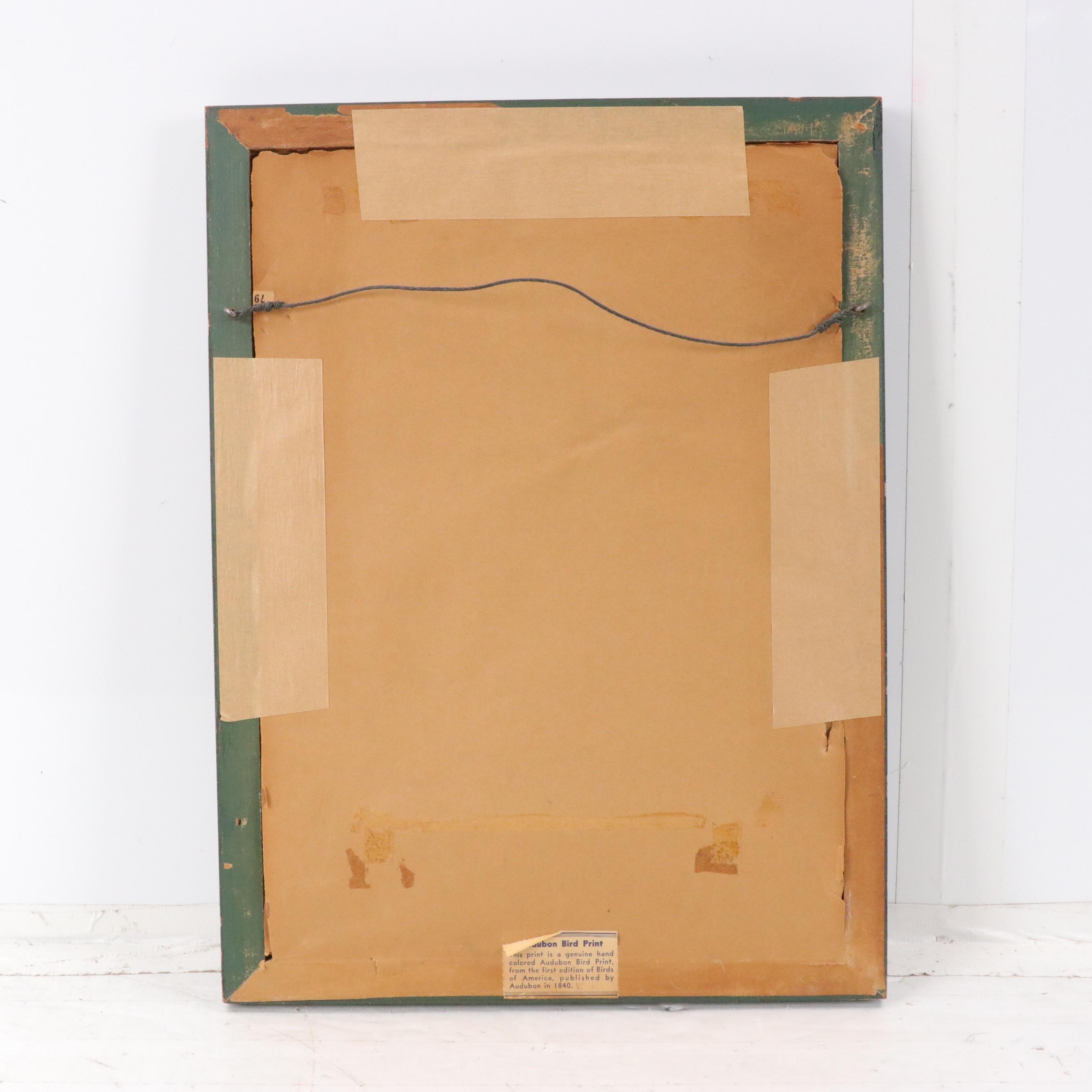 John Audubon Hand-Colored Ornithological Lithographs With Verre Églomisé Borders