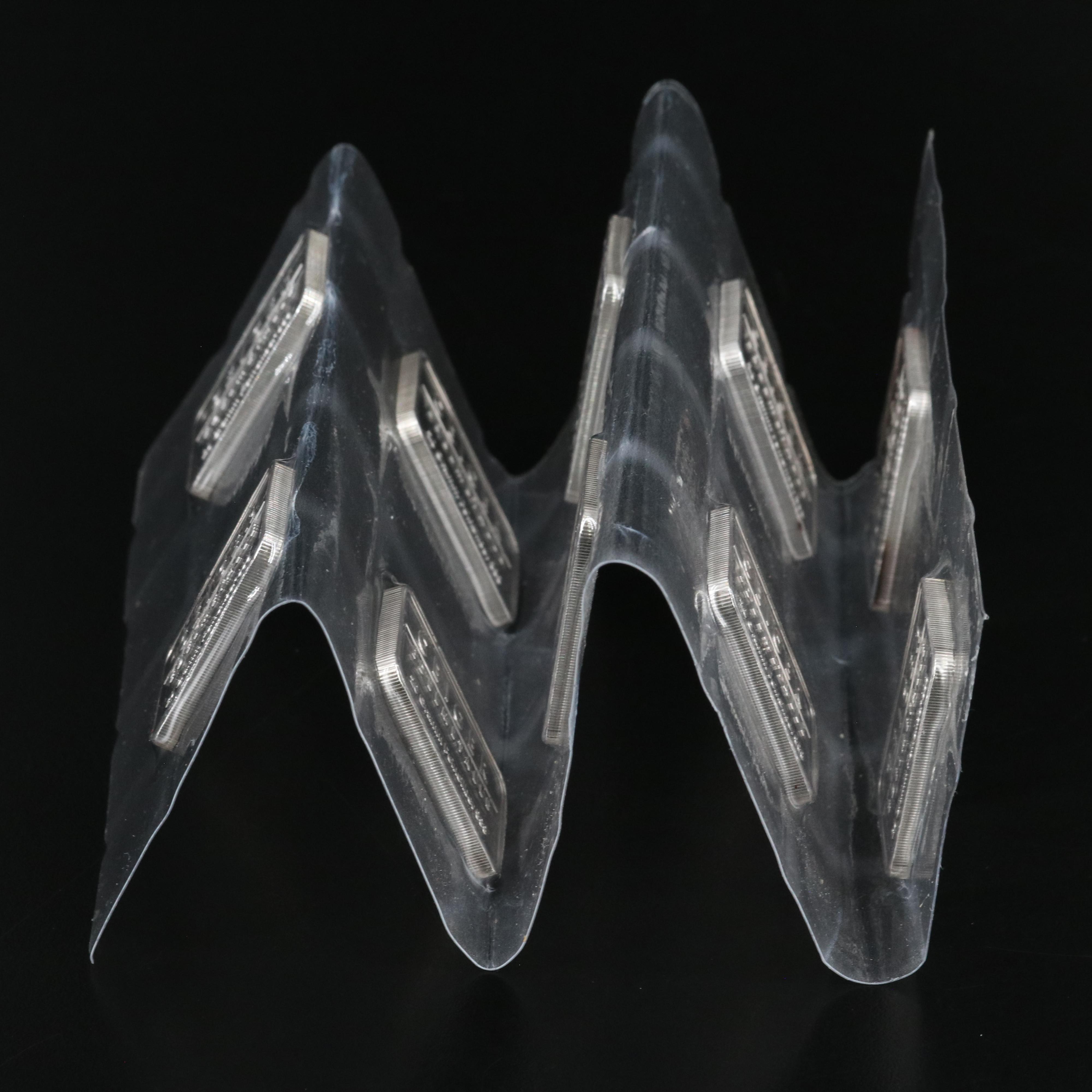 Group of Ten  20 Gram .999 Silver Bars