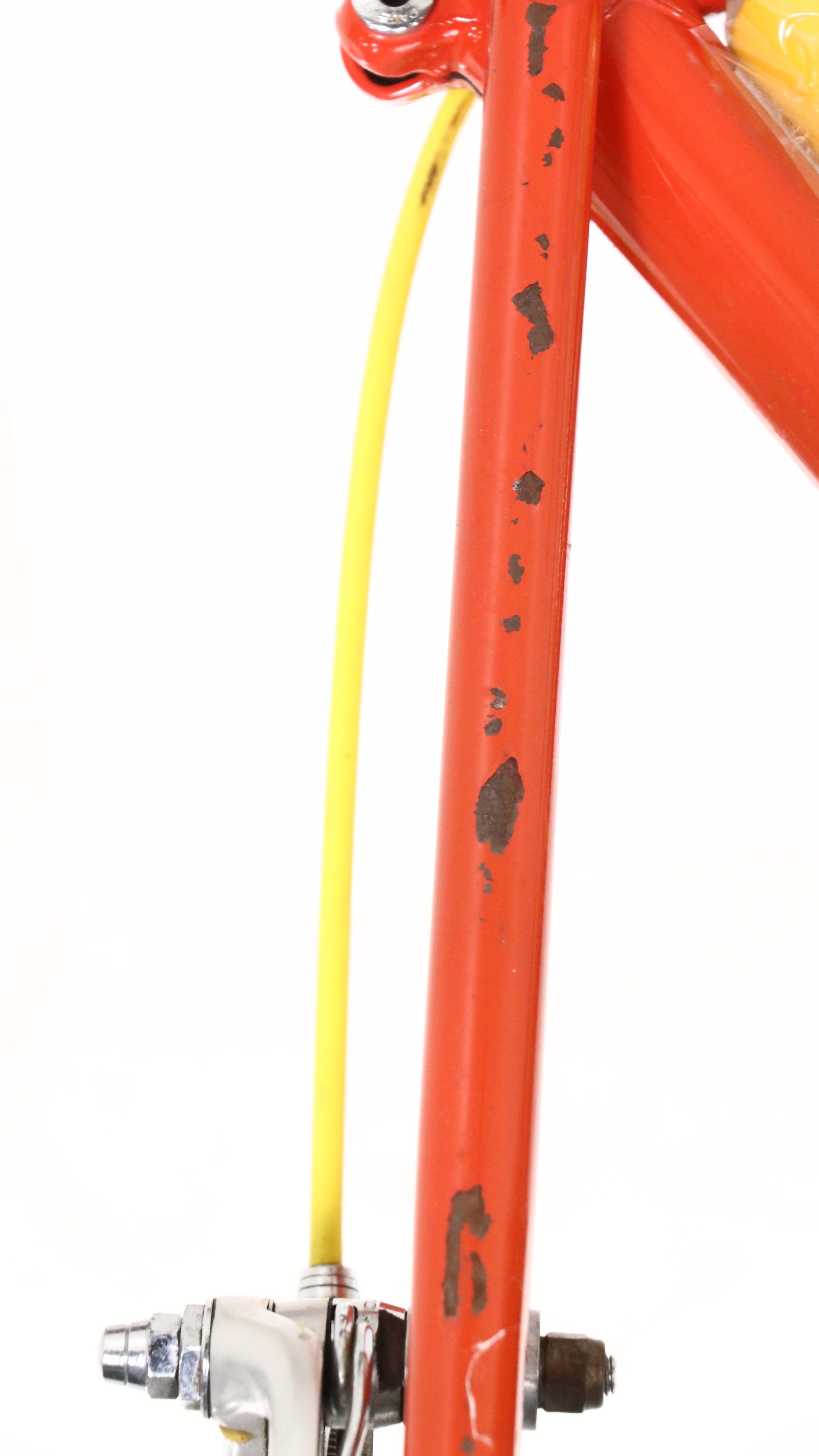 Schwinn Paramount Road Bike with Vittoria Competition Tires