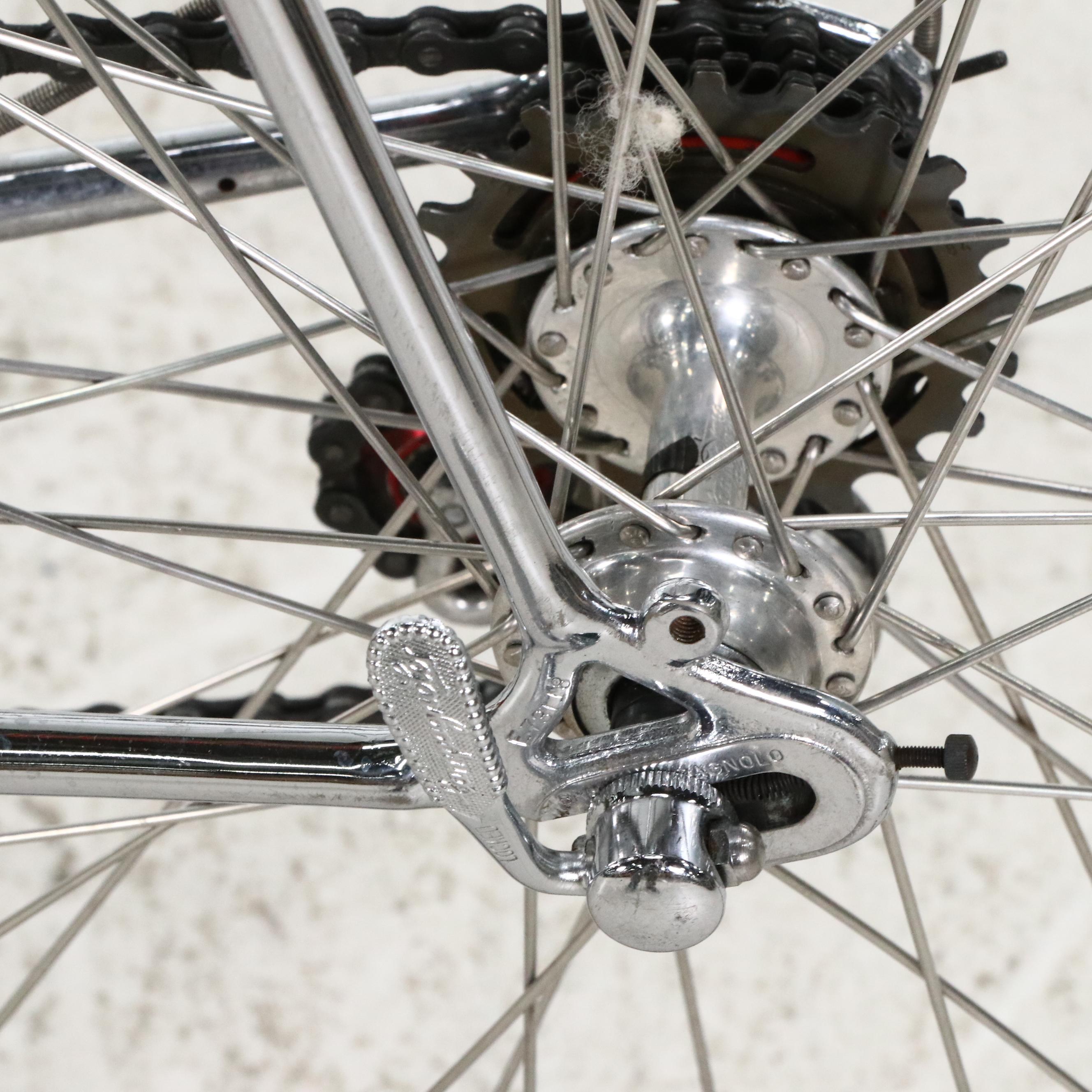 Schwinn Paramount Road Bike with Vittoria Competition Tires