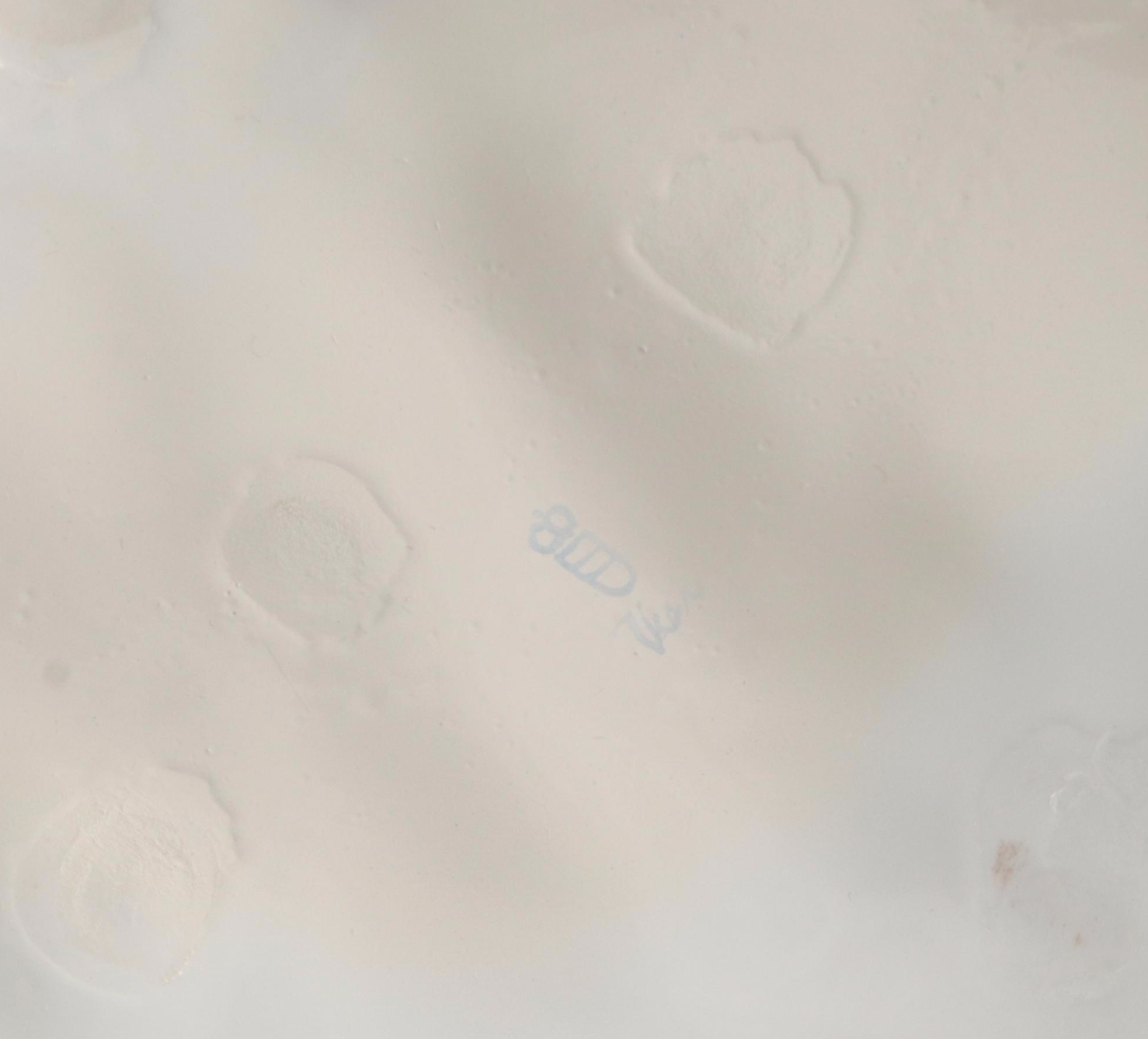 Augarten Wien Porcelain Lipizzaner Stallion and Trainer, Early to Mid-20th C.