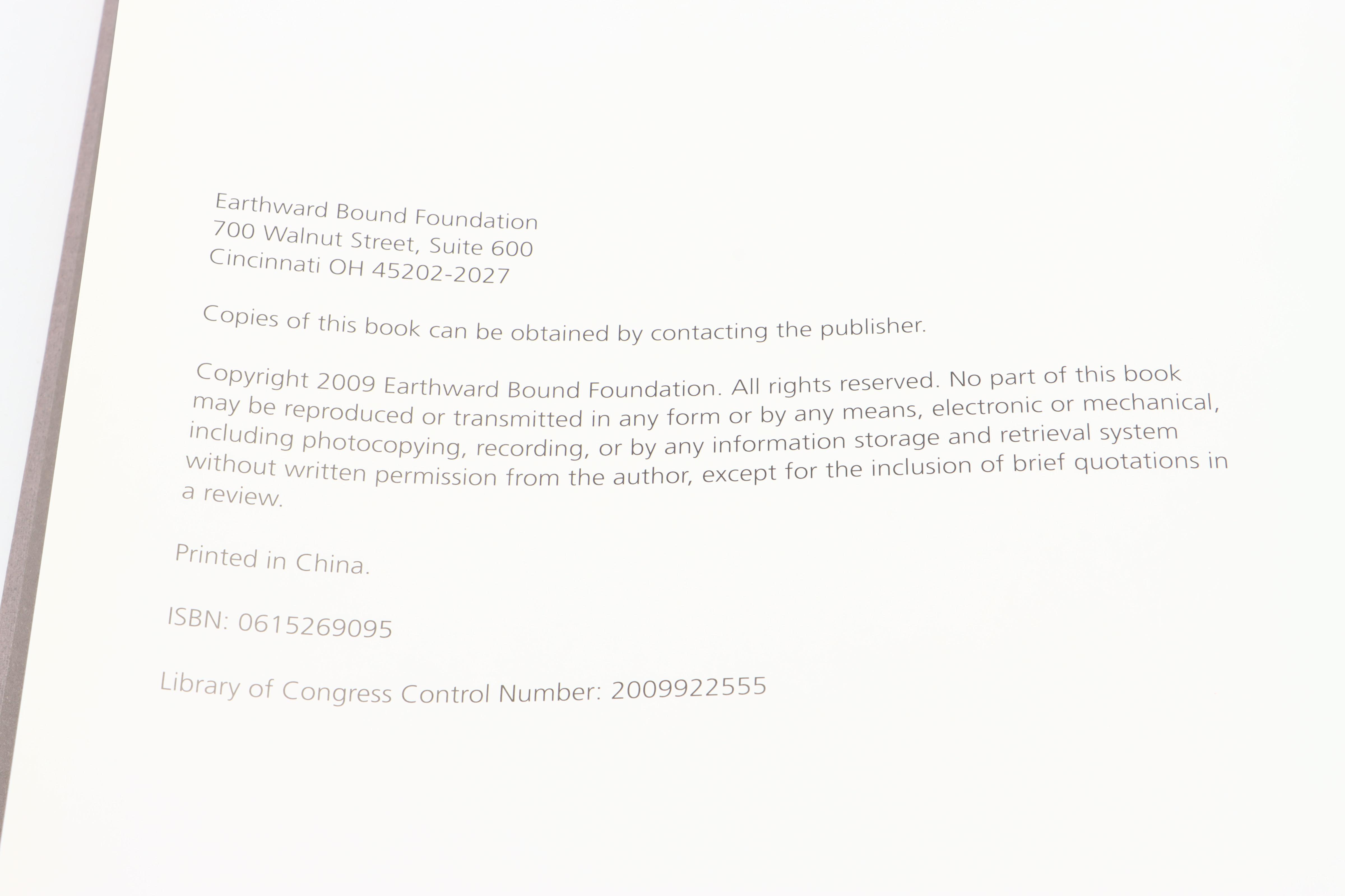 "Visual Arts in the Twentieth Century" by Edward Lucie-Smith and More Art Books