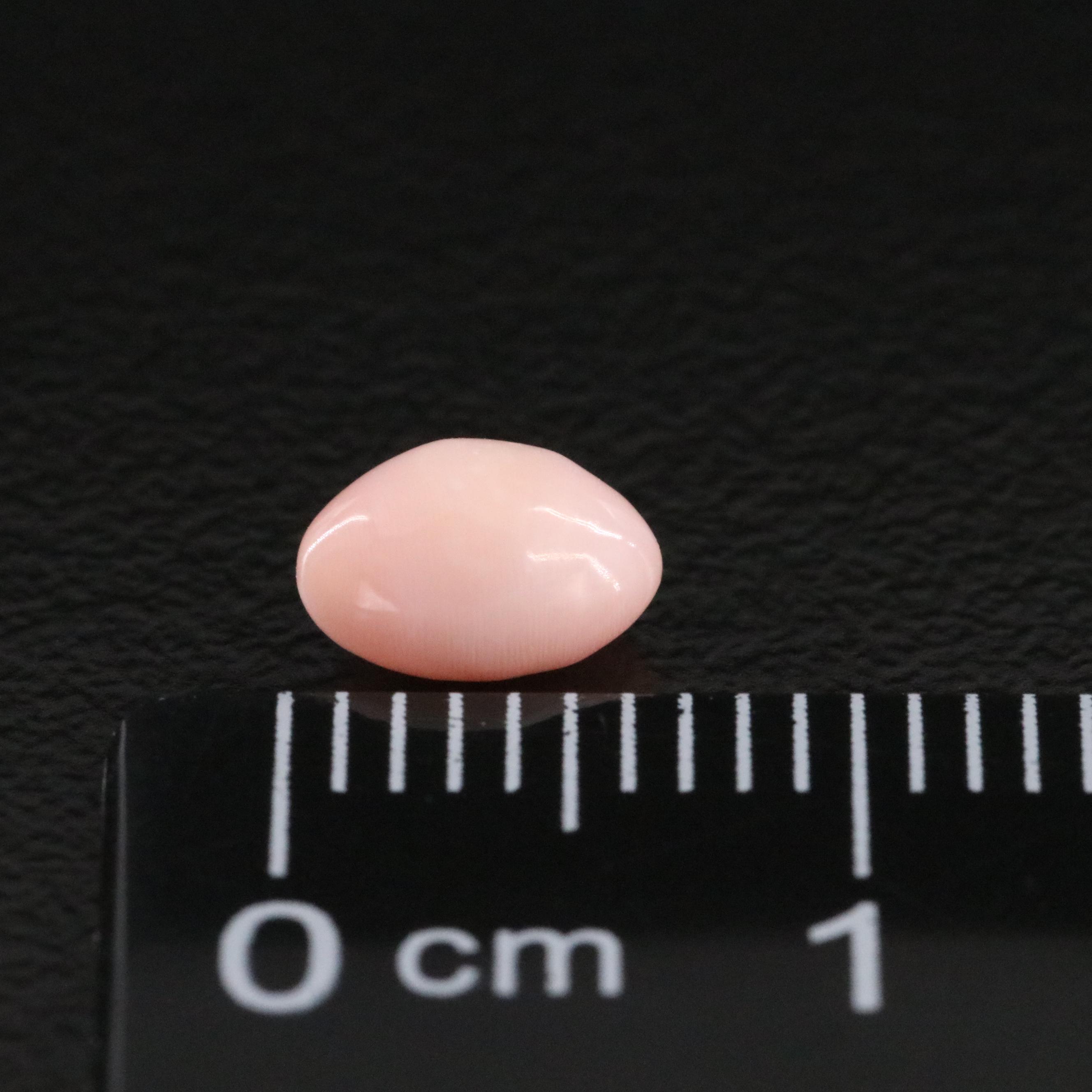 Loose 0.79 CT Natural Conch Pearl with GIA Report
