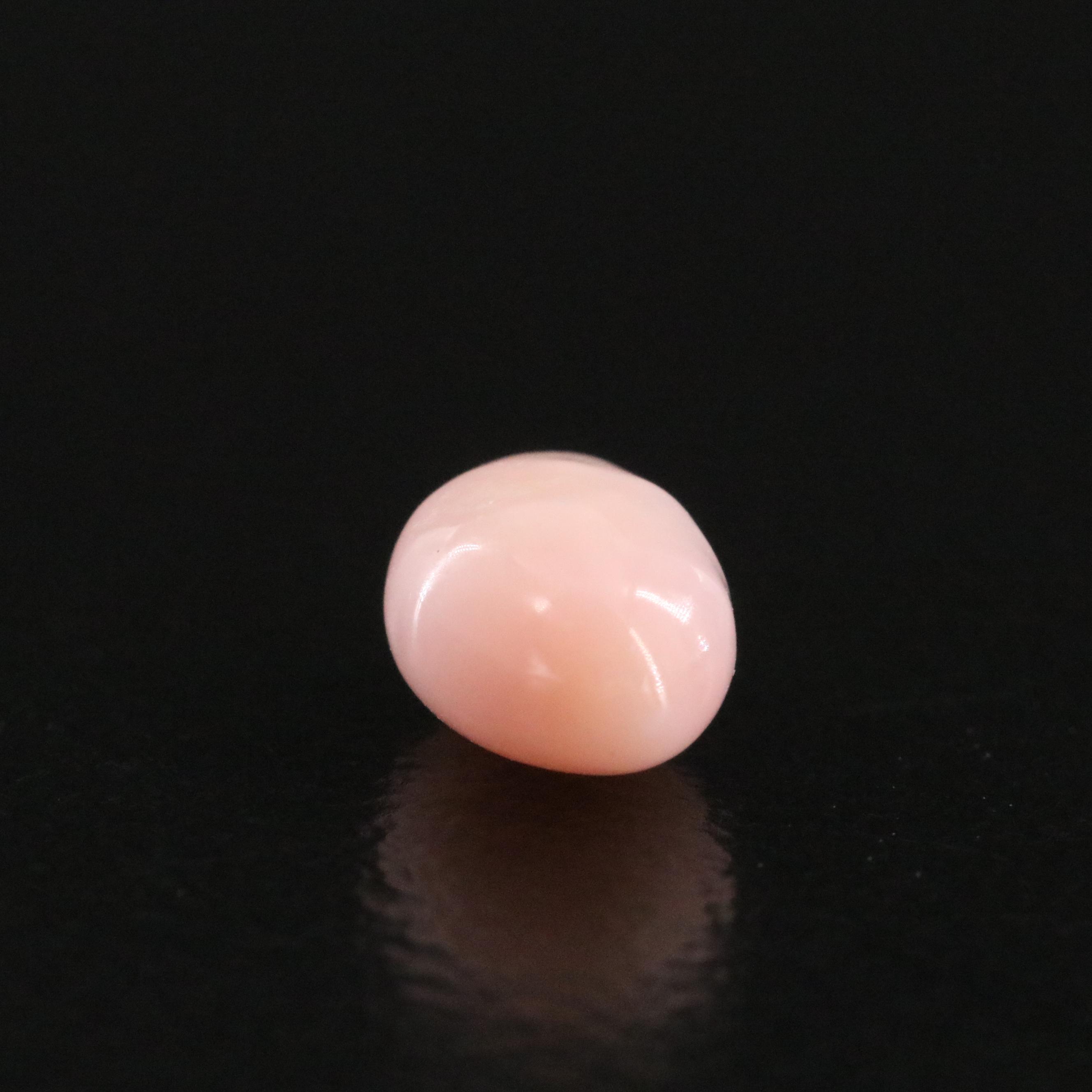 Loose 0.79 CT Natural Conch Pearl with GIA Report