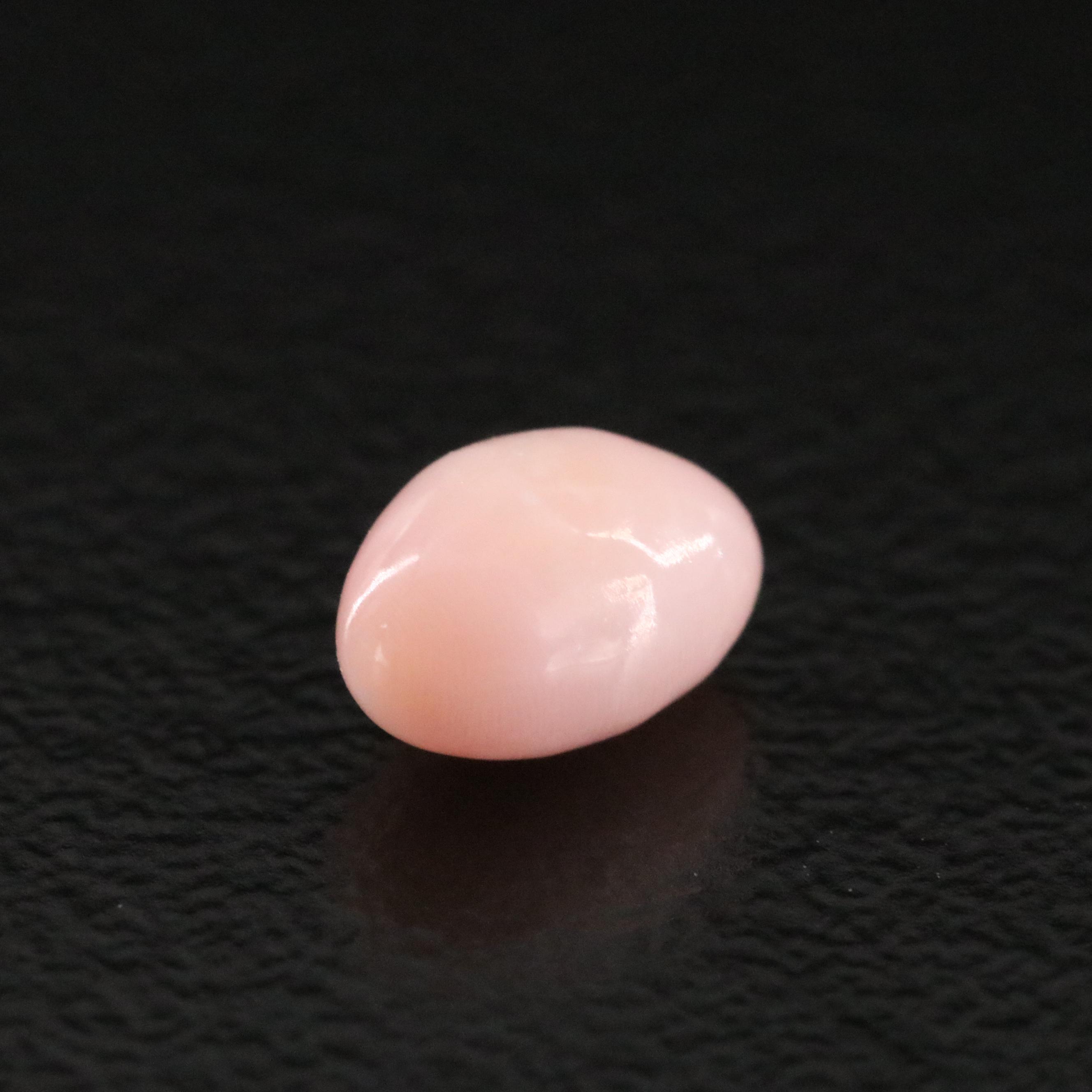 Loose 0.79 CT Natural Conch Pearl with GIA Report