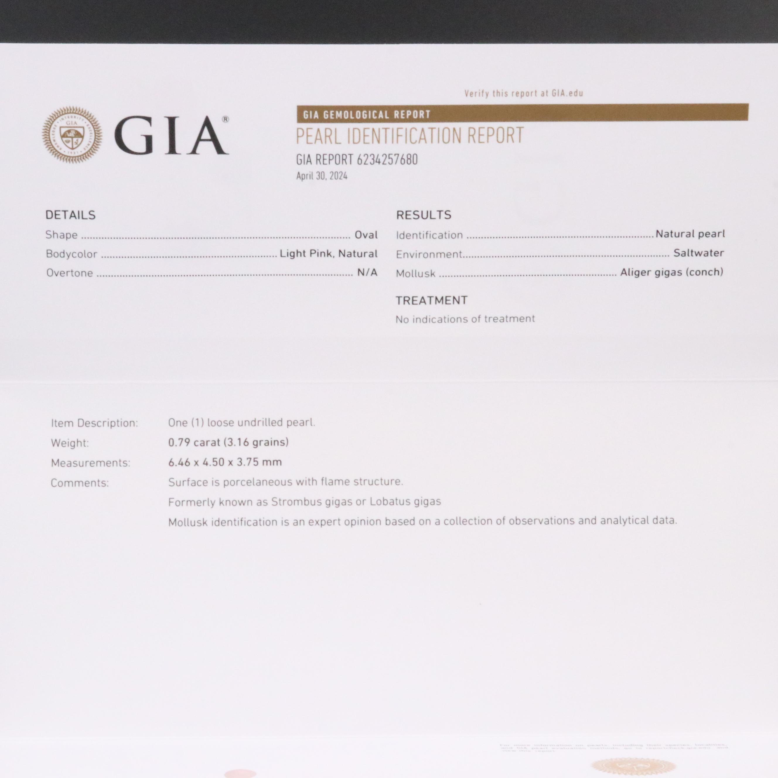 Loose 0.79 CT Natural Conch Pearl with GIA Report