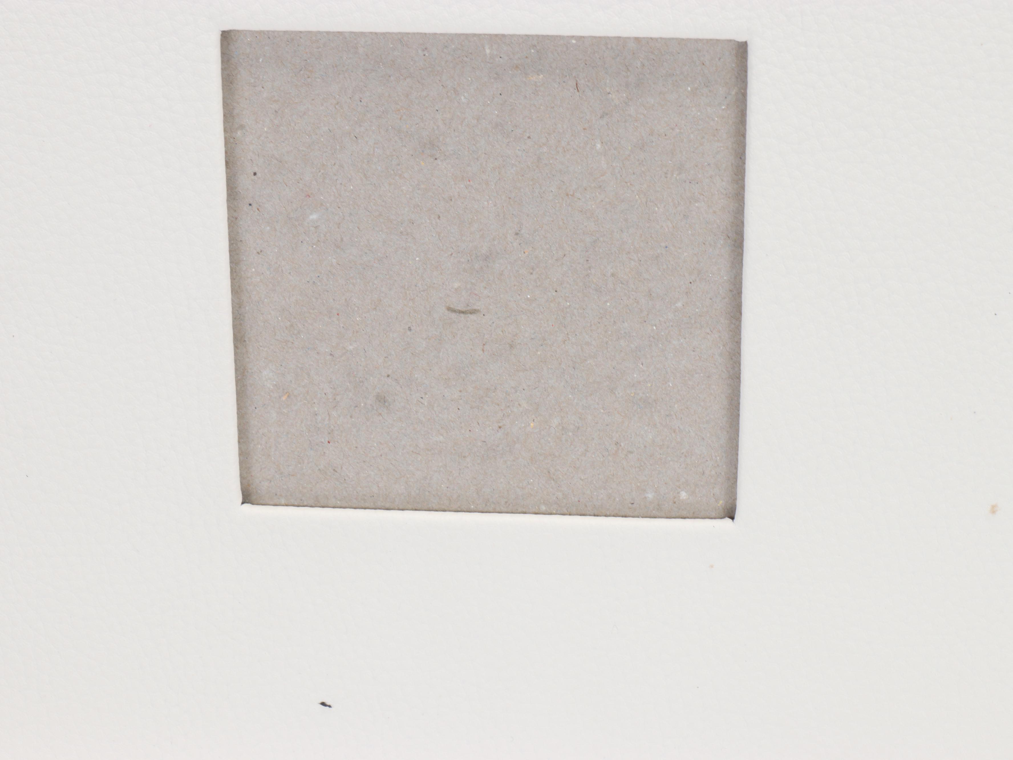 Album Covers with Photo Mats, Card Stock and More Paper Craft Supplies