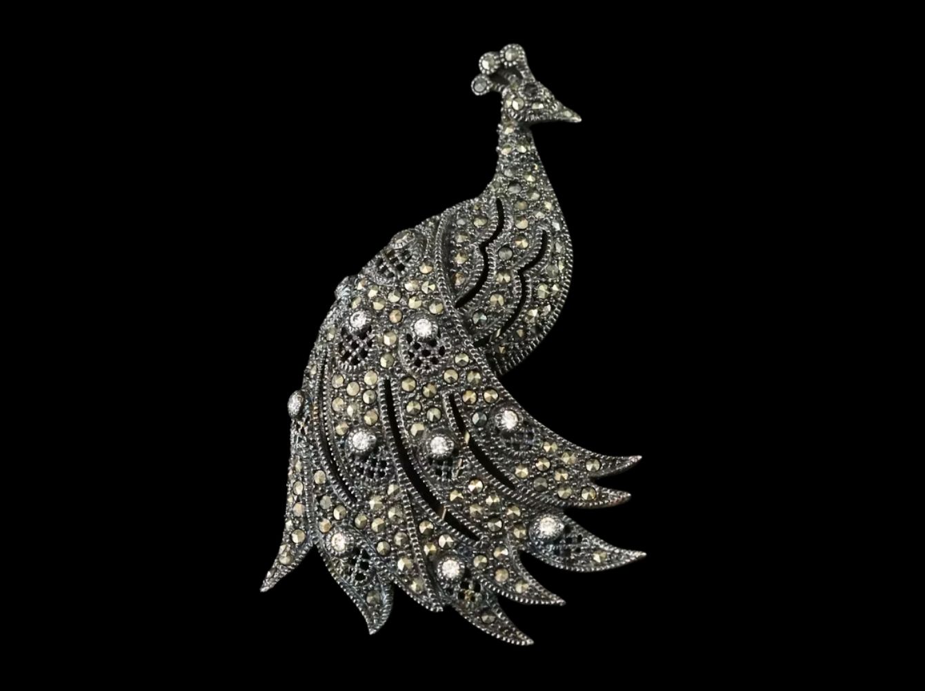 The Daily Fashion Edit