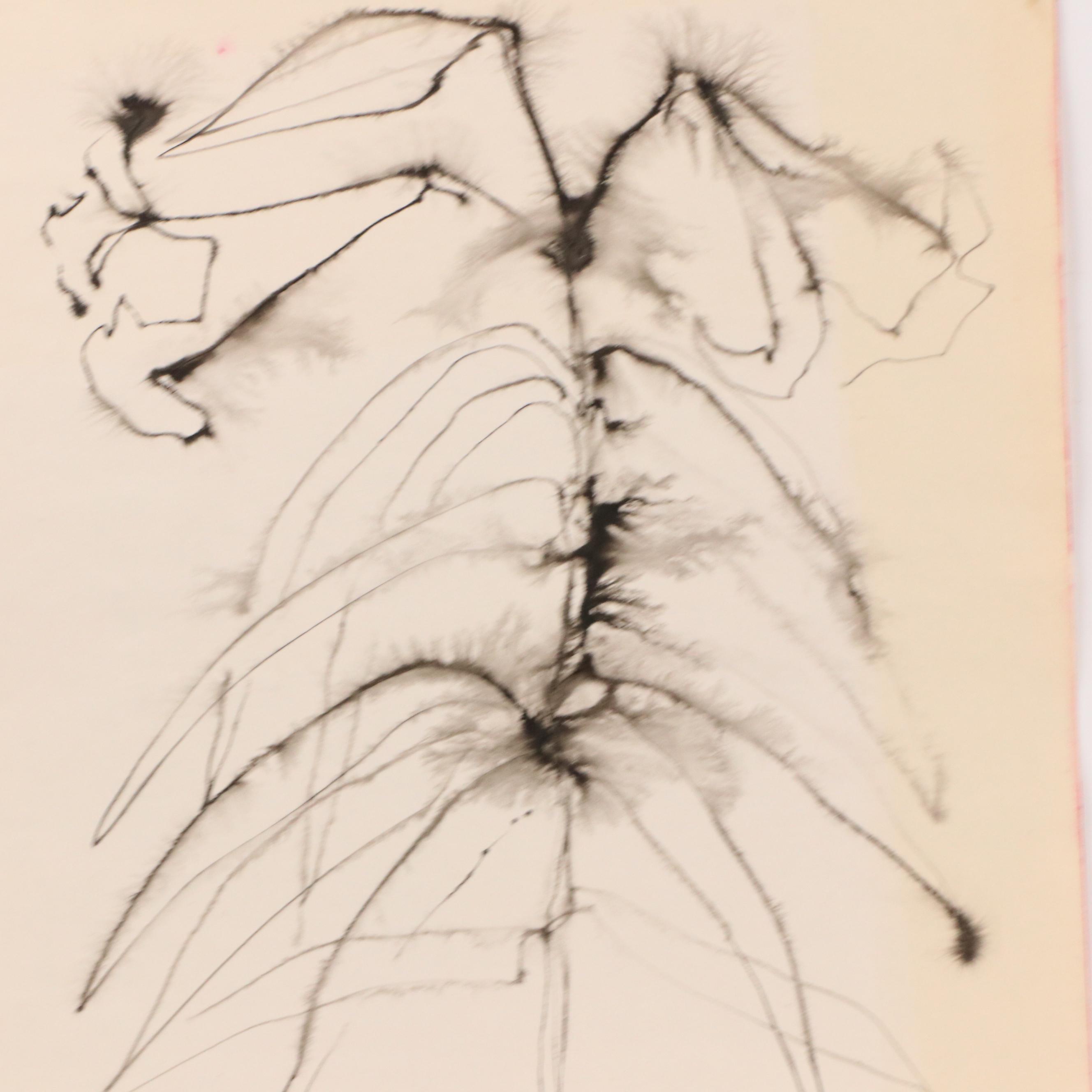 Jack Meanwell Abstract Floral Ink Drawing, 1978