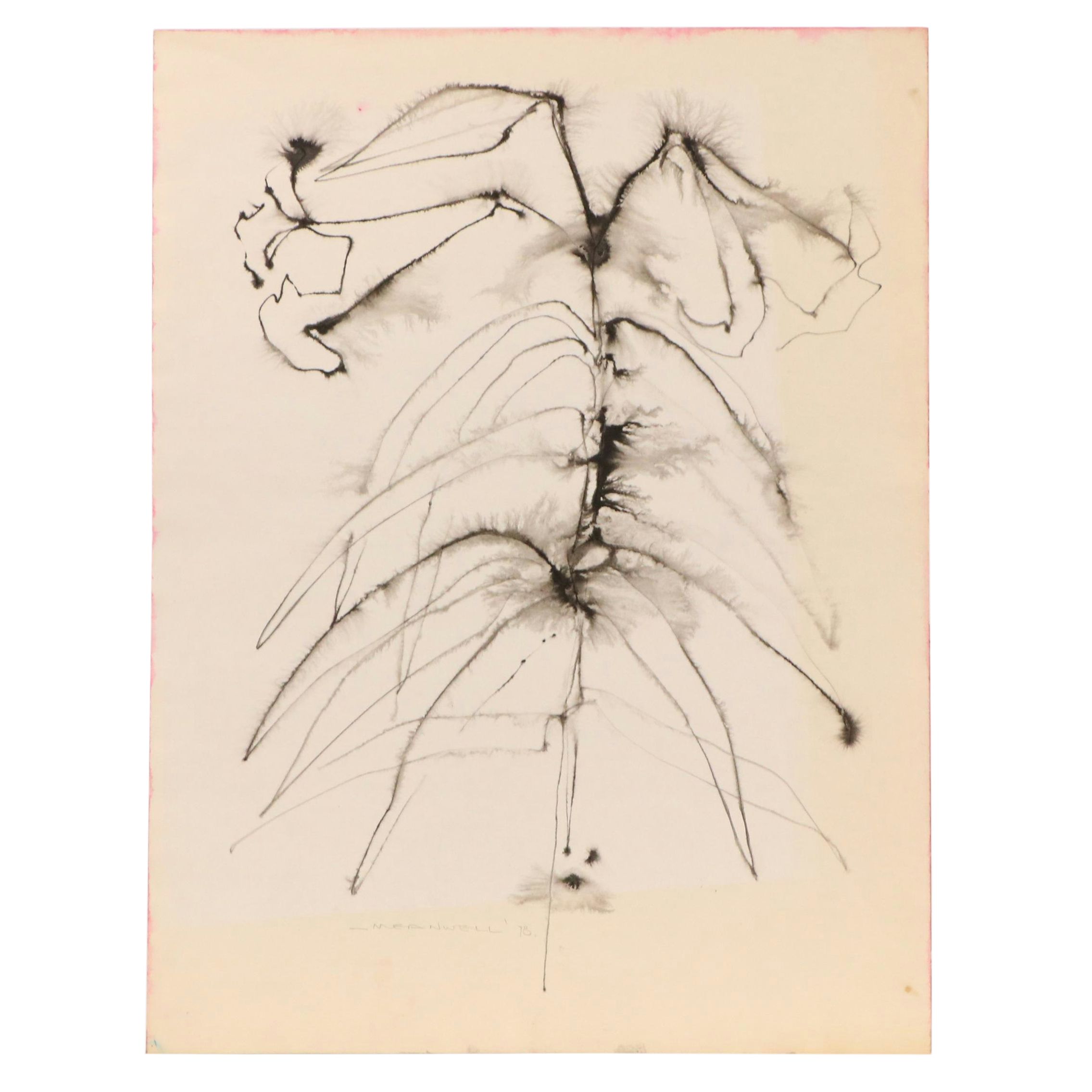 Jack Meanwell Abstract Floral Ink Drawing, 1978