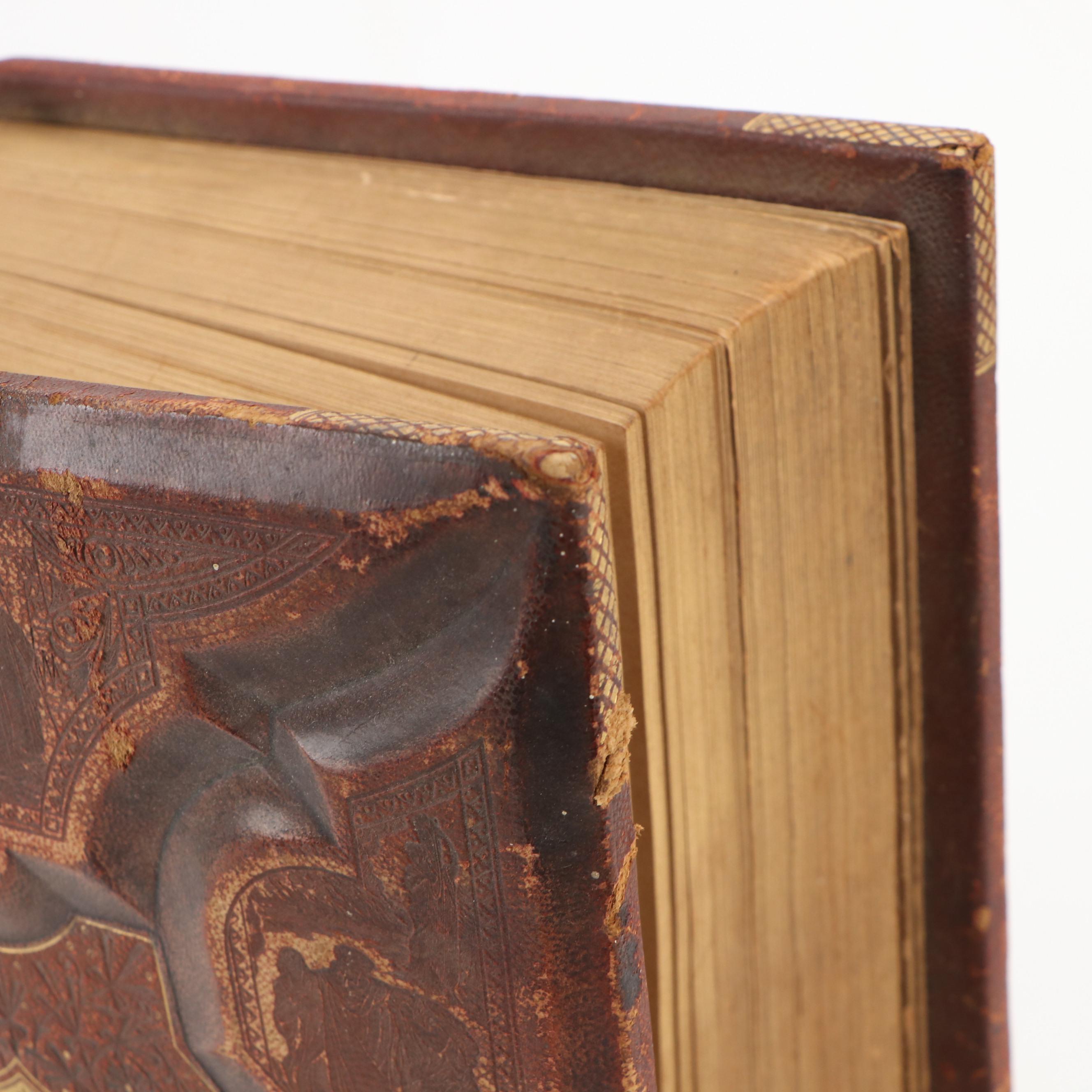 Illustrated Leather Bound Parallel-Column Edition Holy Bible