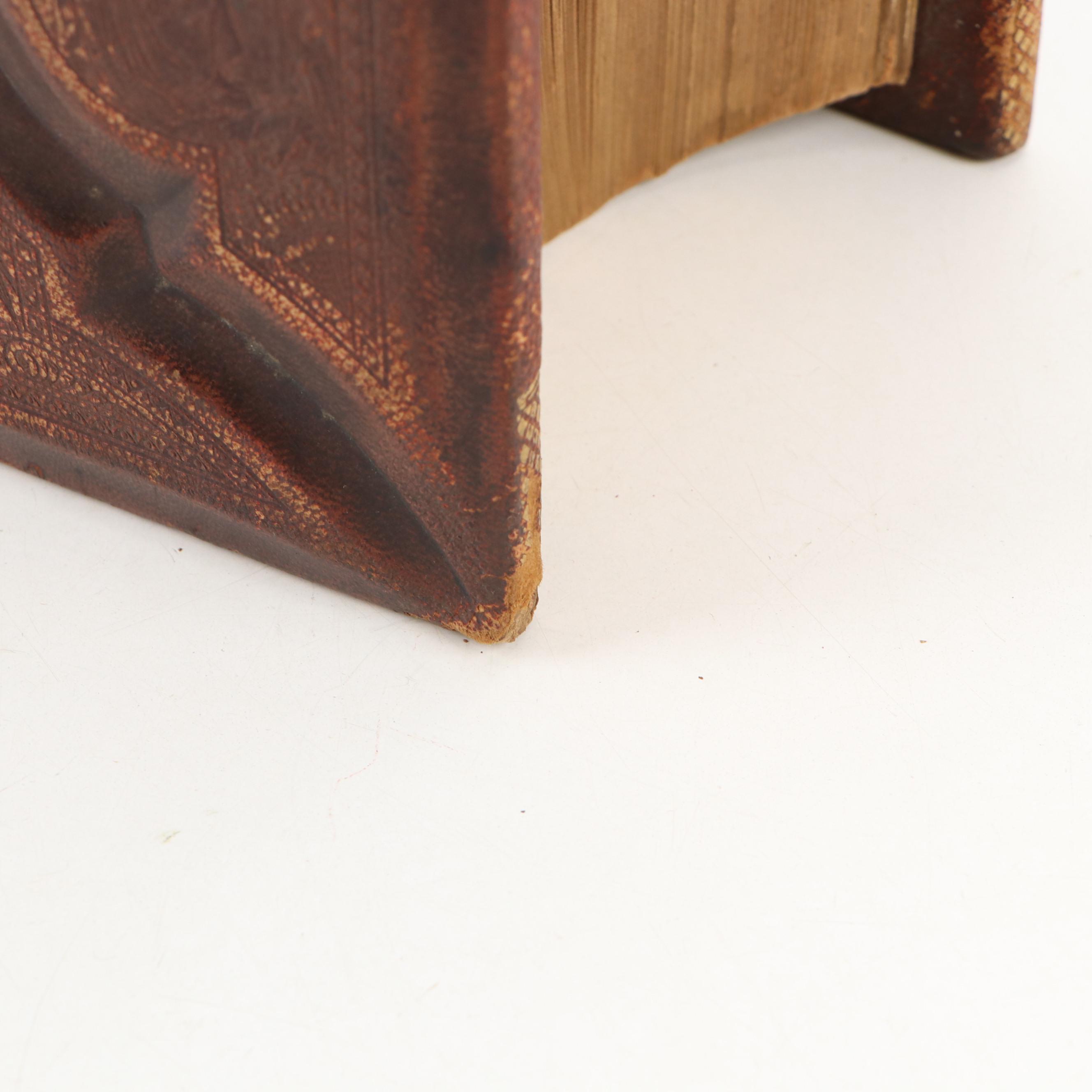 Illustrated Leather Bound Parallel-Column Edition Holy Bible