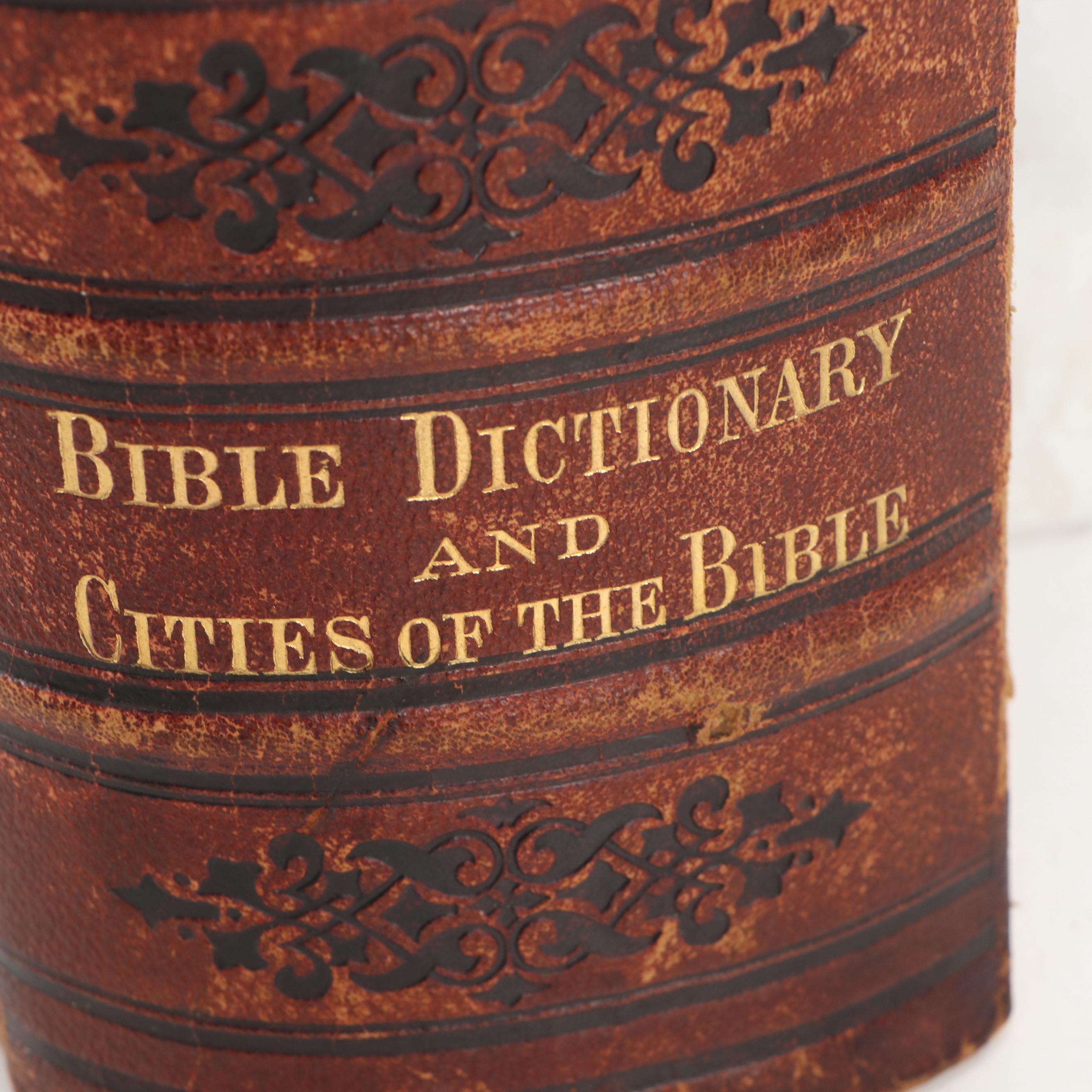 Illustrated Leather Bound Parallel-Column Edition Holy Bible