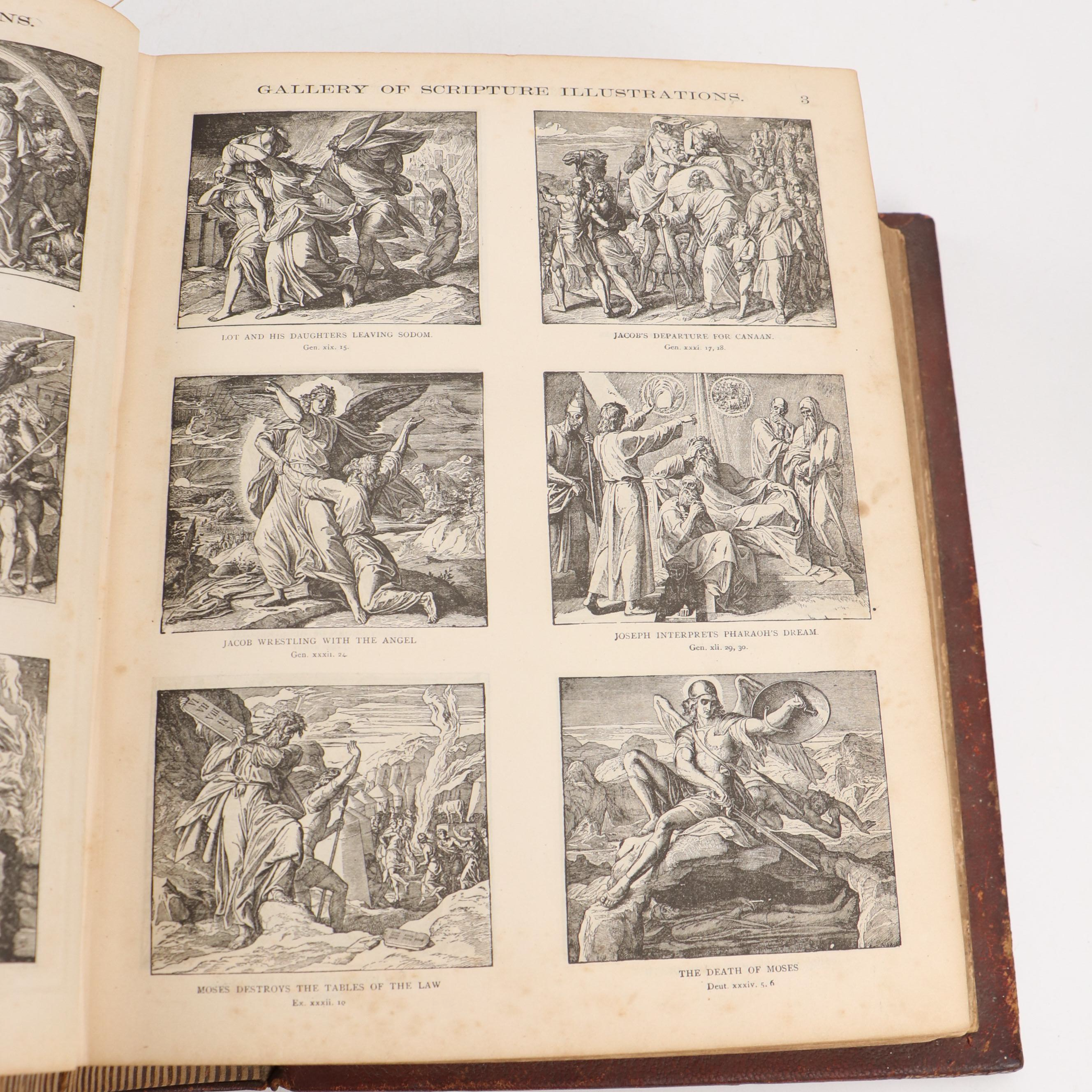 Illustrated Leather Bound Parallel-Column Edition Holy Bible