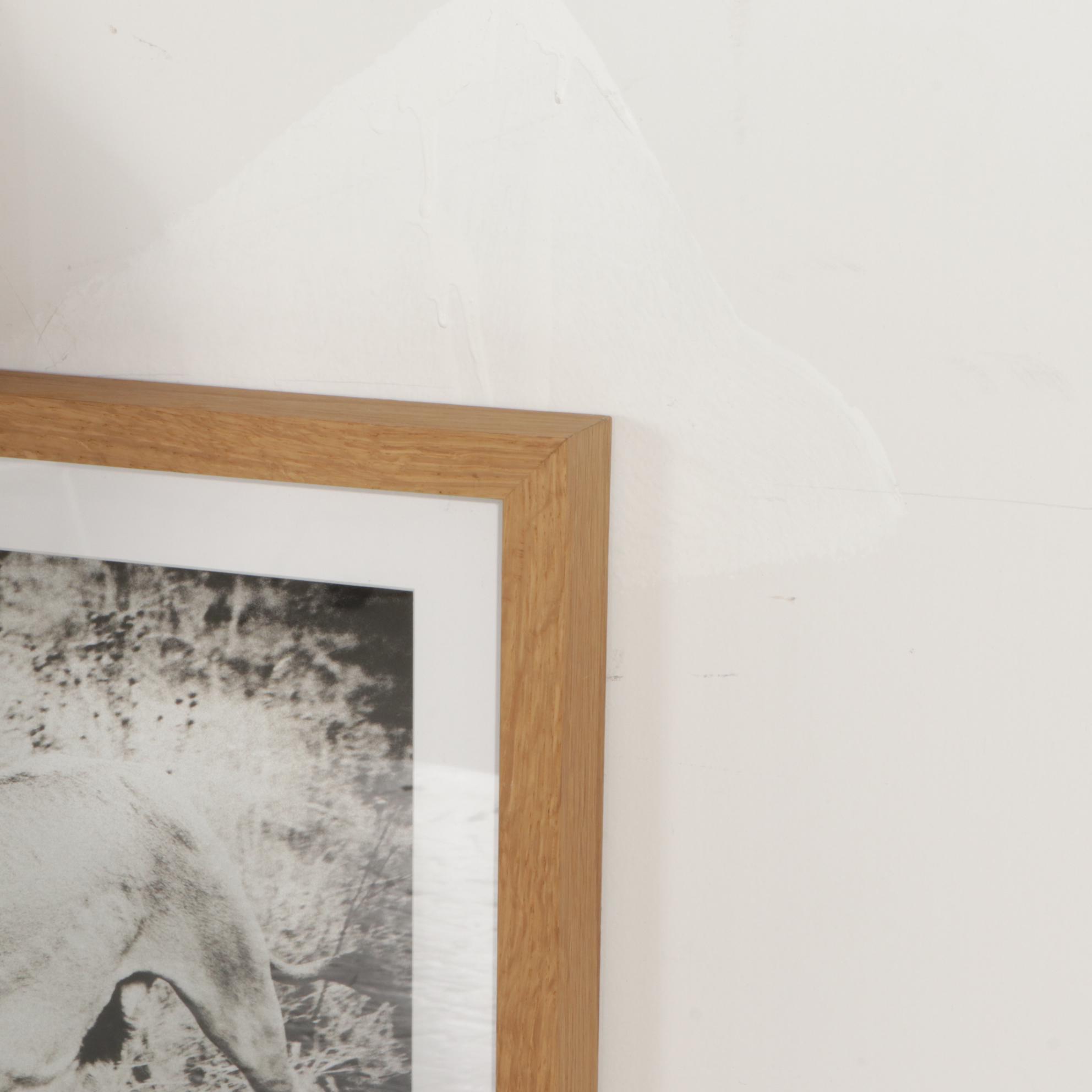 Framed Black & White Giclée of Zebra, Lion & Oryxes