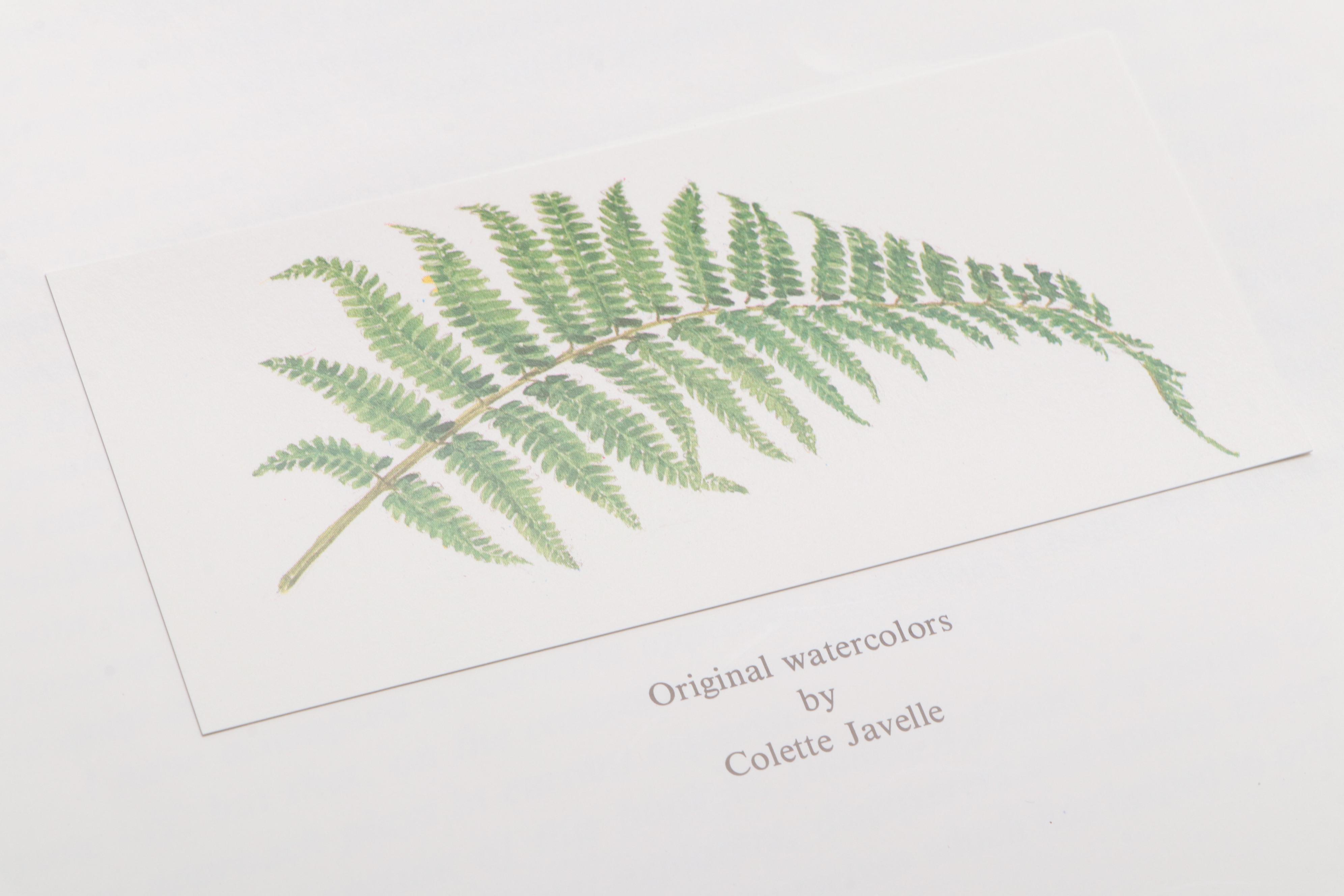 "Le Nez du Vin" Wine Aroma Guide by Jean Lenoir with Scent Sample Kit