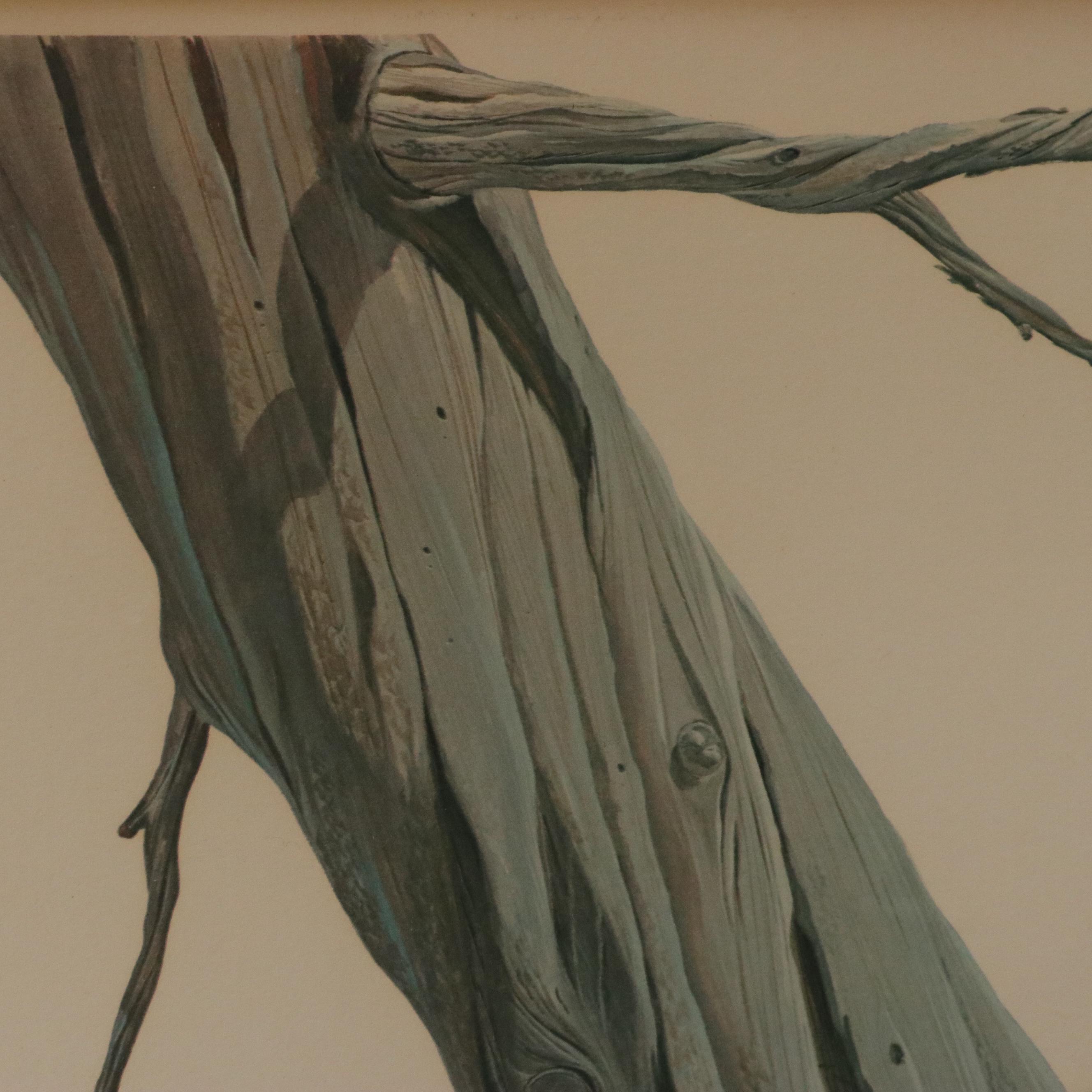 John A. Ruthven Ornithological Offset Lithograph "Bald Eagle," 1966