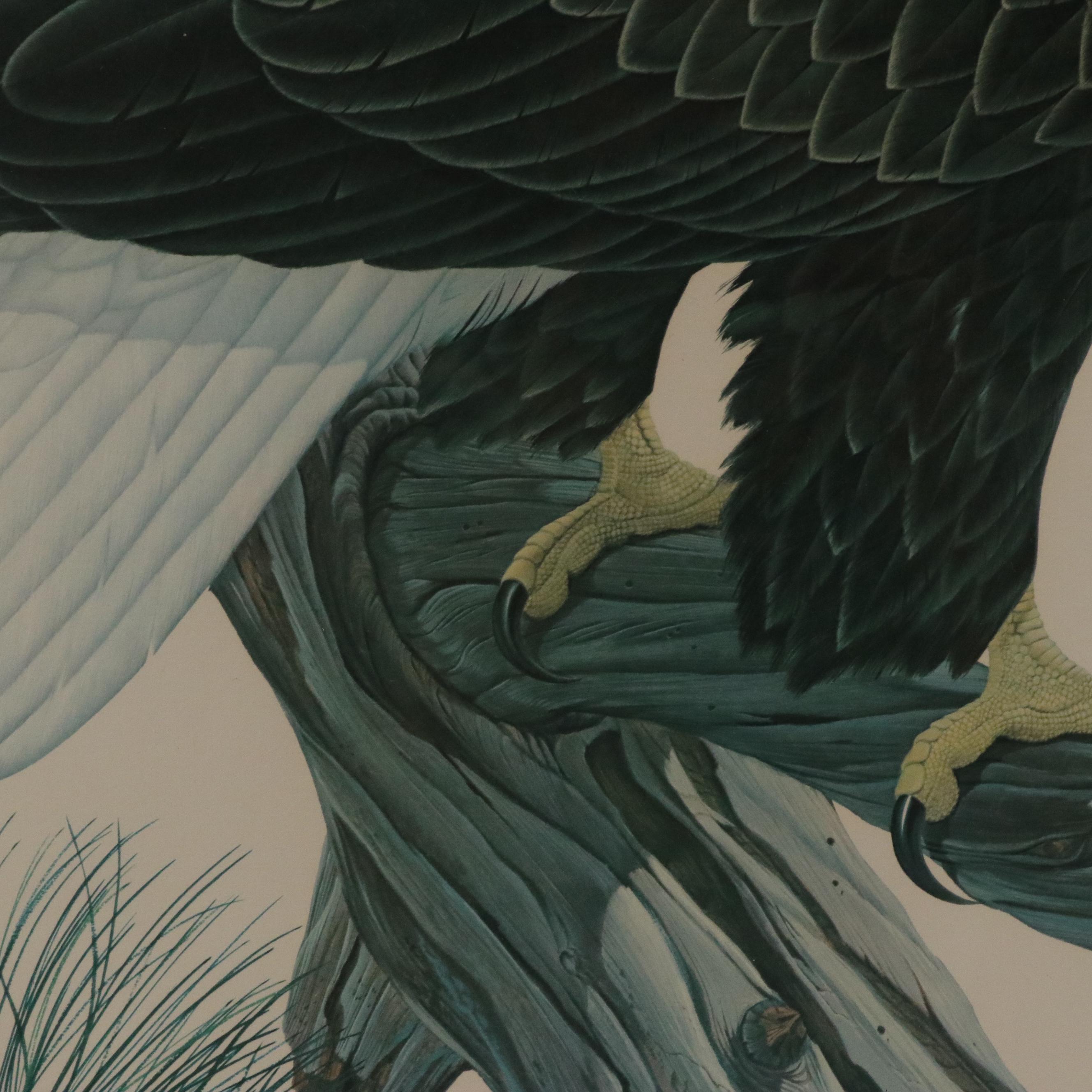 John A. Ruthven Ornithological Offset Lithograph "Bald Eagle," 1966