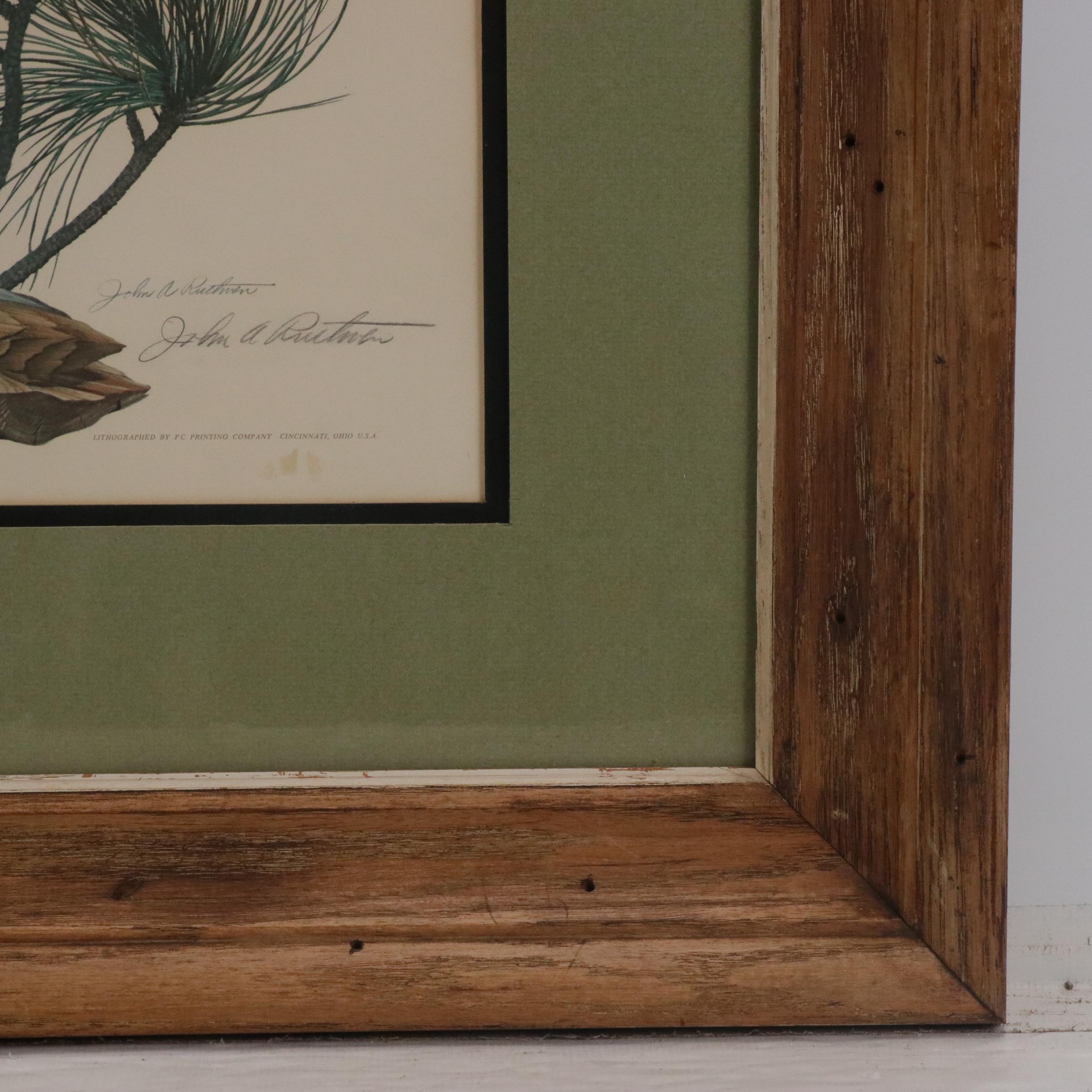 John A. Ruthven Ornithological Offset Lithograph "Bald Eagle," 1966