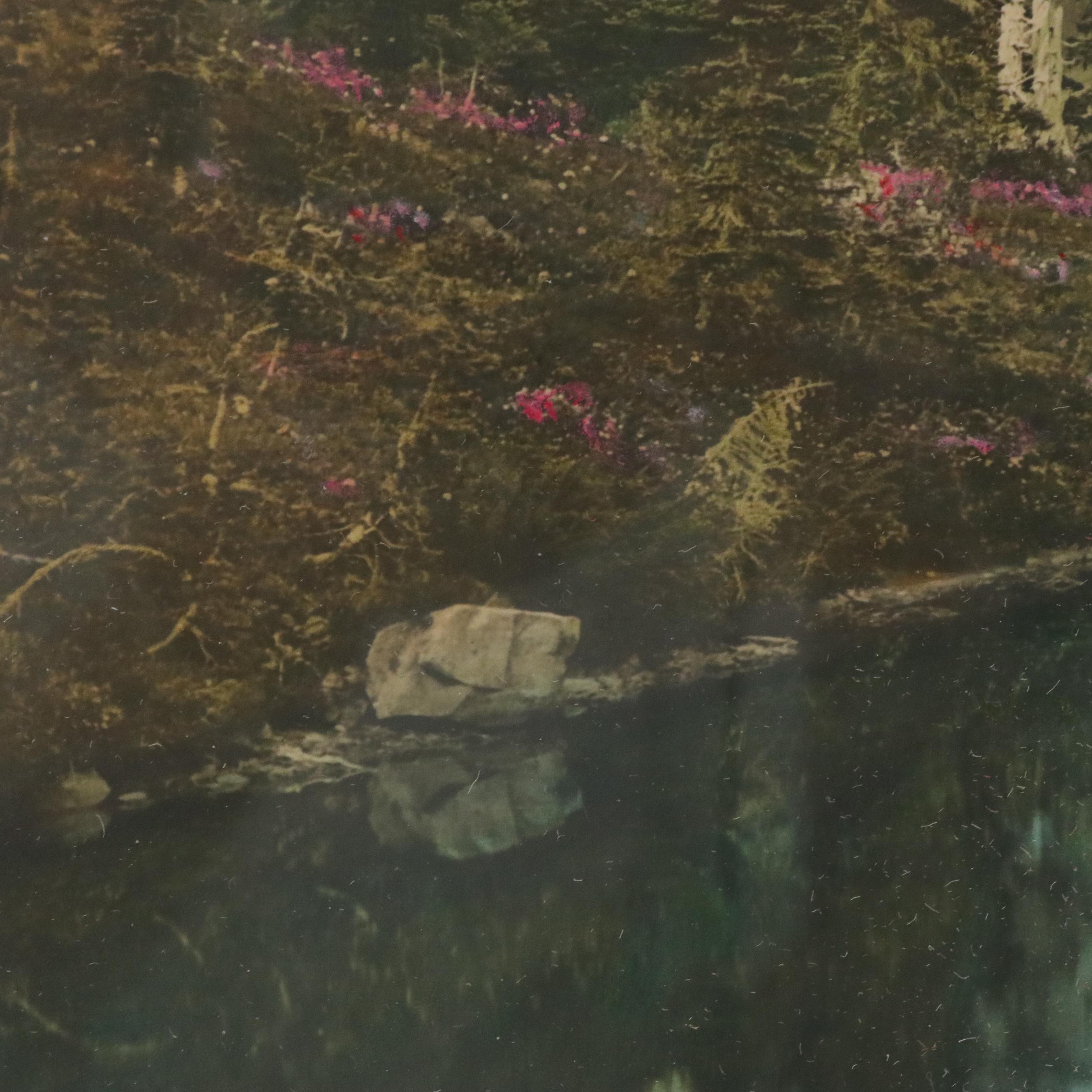 Asahel Curtis Hand-Colored Silver Print Landscape, Early 20th Century