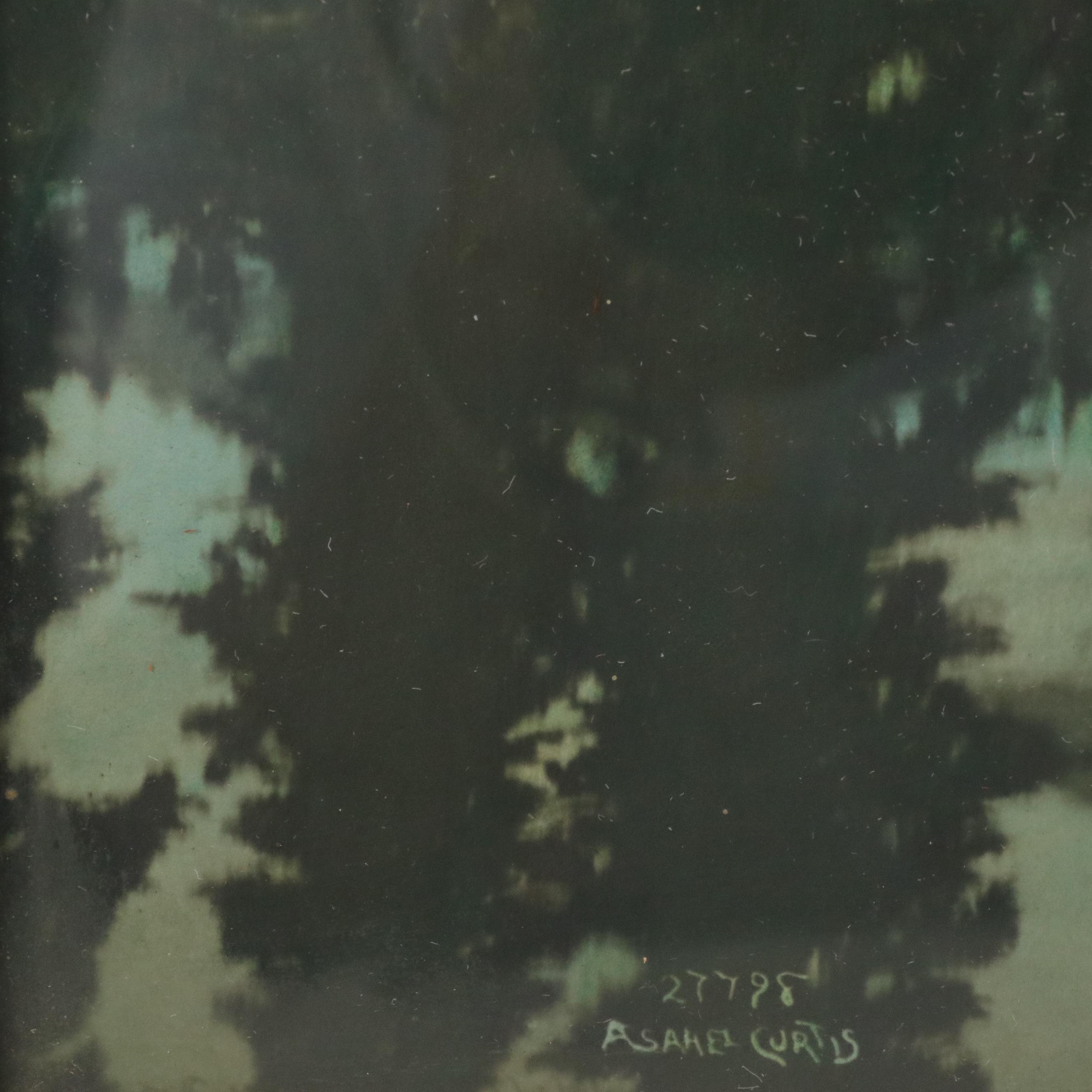 Asahel Curtis Hand-Colored Silver Print Landscape, Early 20th Century