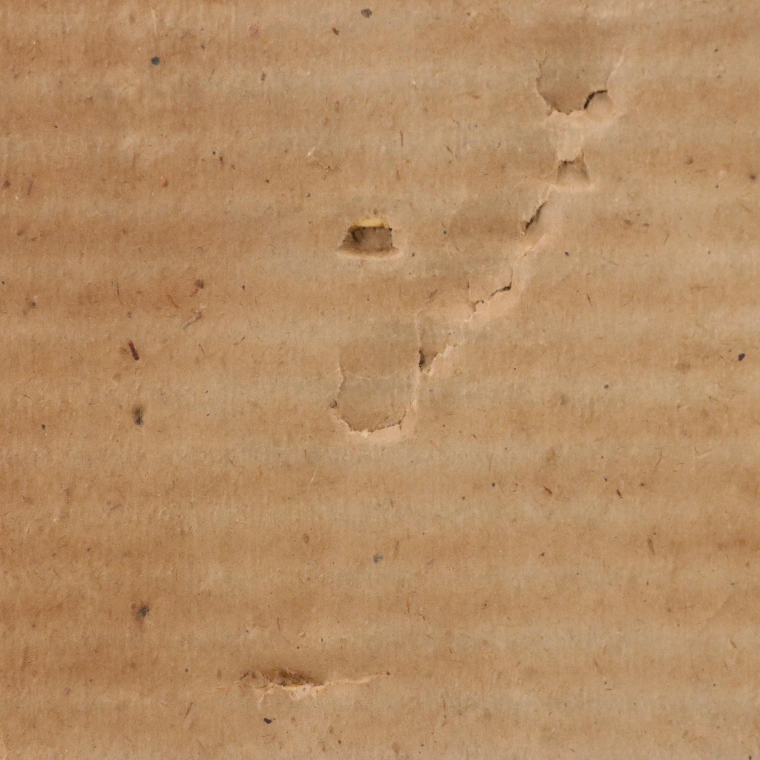 Asahel Curtis Hand-Colored Silver Print Landscape, Early 20th Century