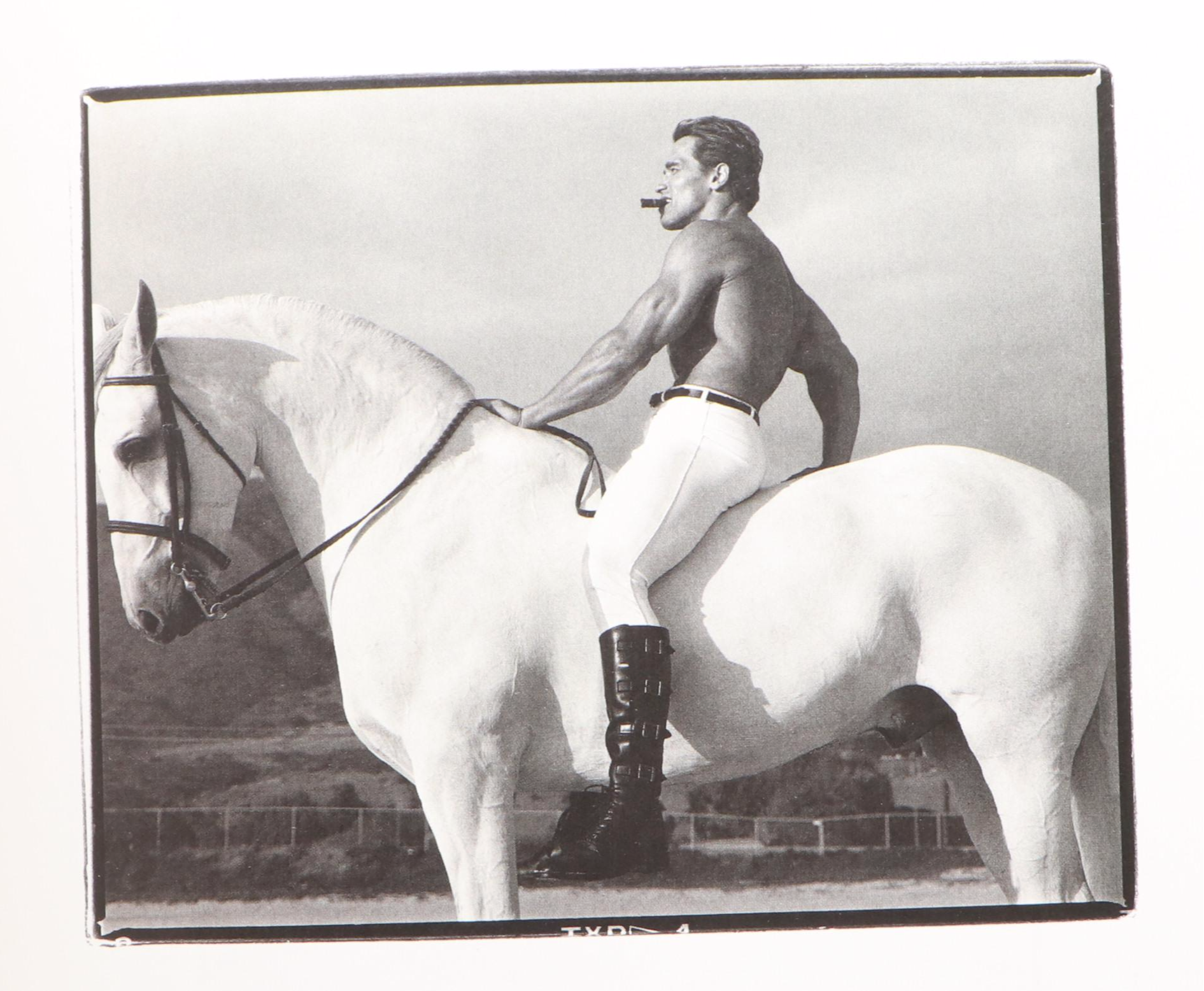 Signed First Printing "Annie Leibovitz at Work" by Annie Leibovitz, 2008