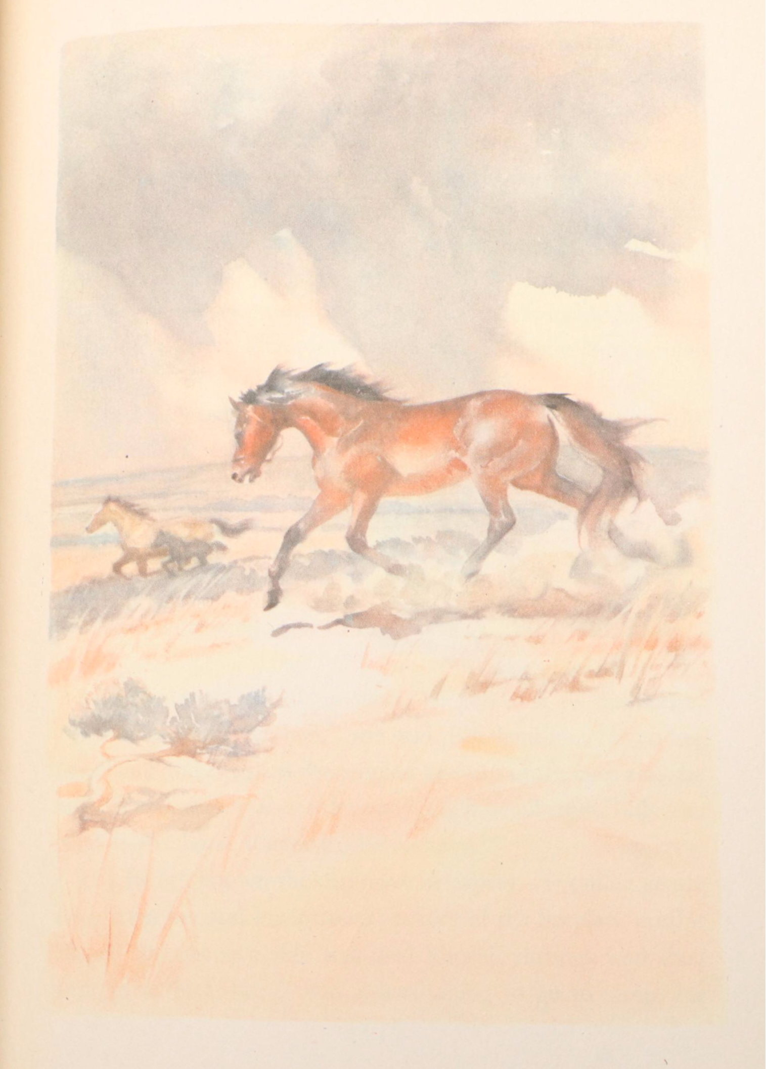 First Illustrated Edition "The Red Pony" by John Steinbeck, 1945