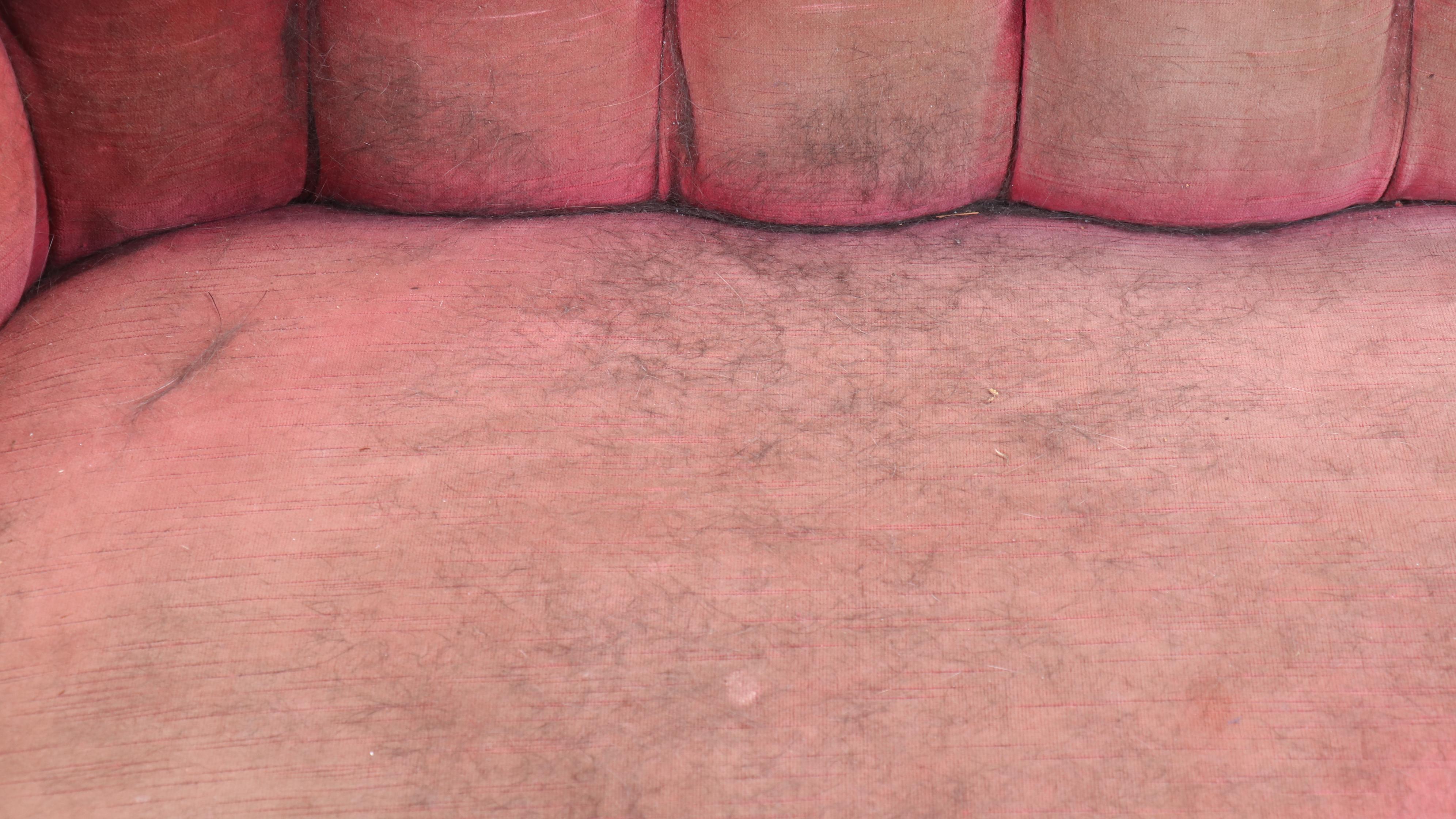 Karpen Empire Revival Carved Mahogany Sofa, Late 19th Century