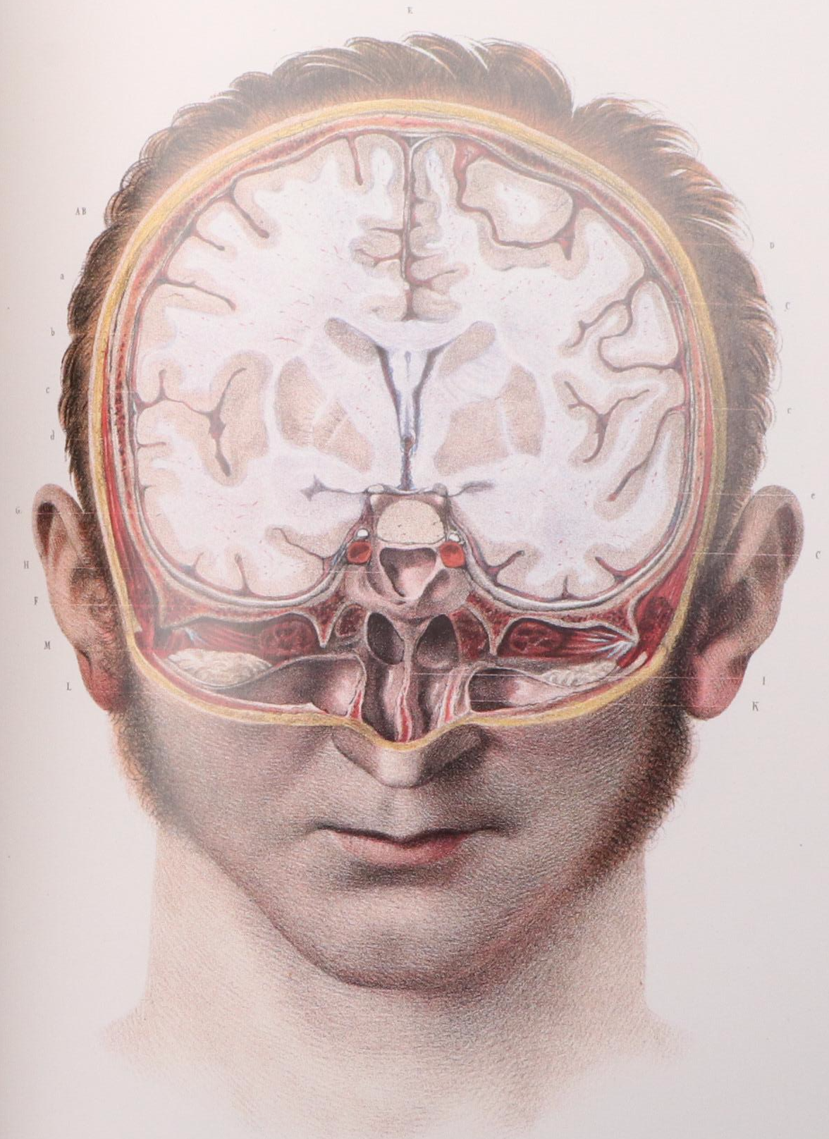 "The Complete Atlas of Human Anatomy and Surgery" by Bourgery and Jacob, 2015