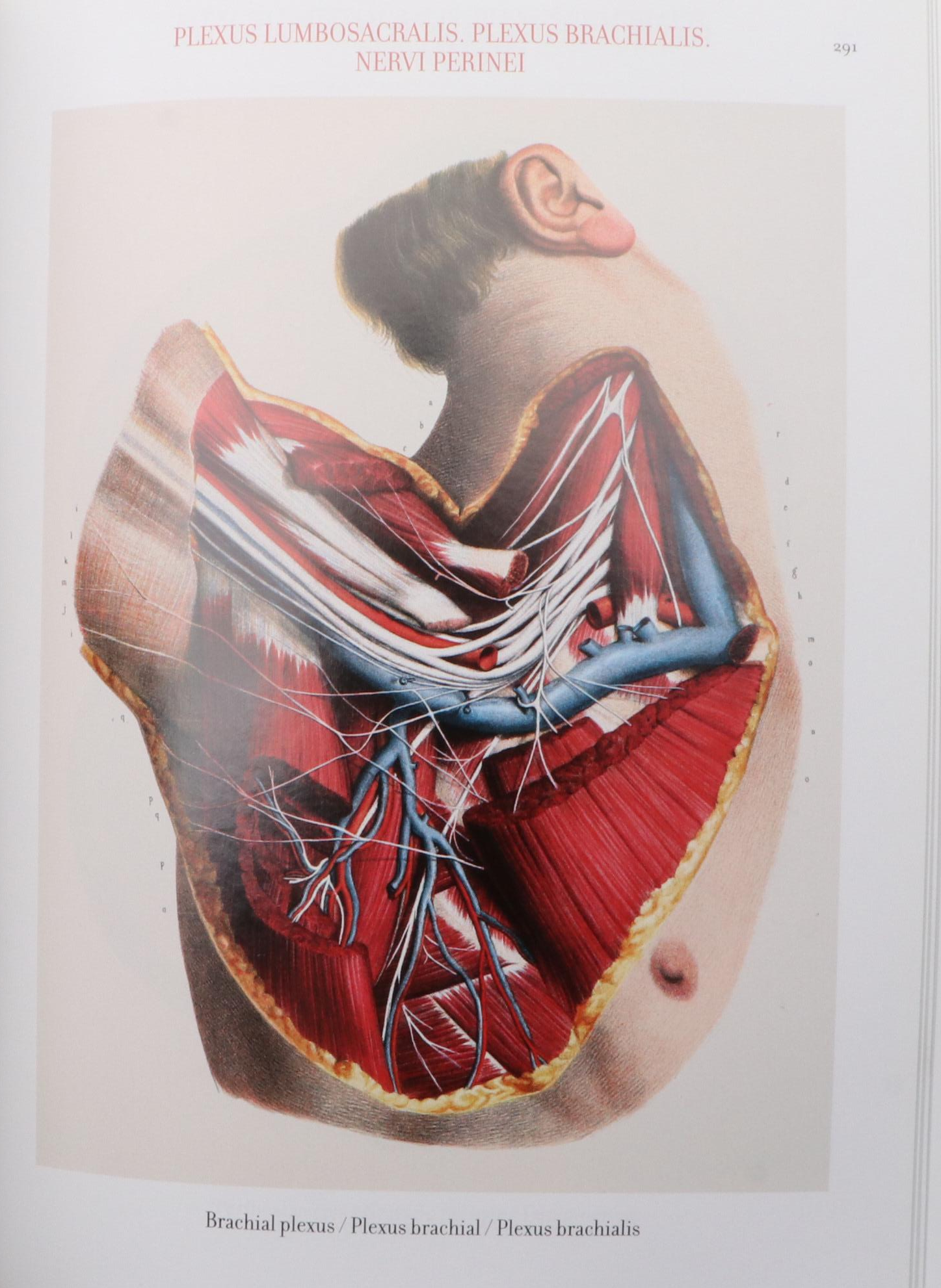 "The Complete Atlas of Human Anatomy and Surgery" by Bourgery and Jacob, 2015