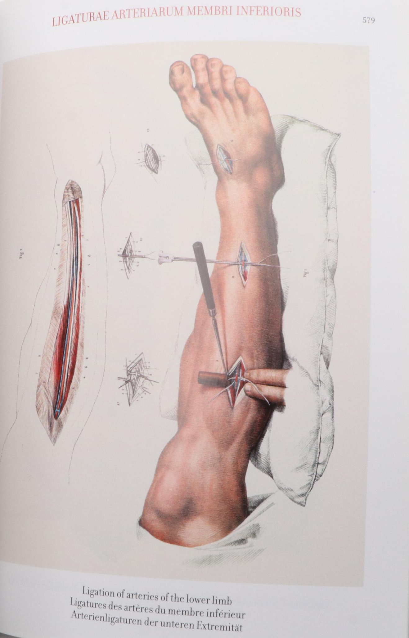 "The Complete Atlas of Human Anatomy and Surgery" by Bourgery and Jacob, 2015