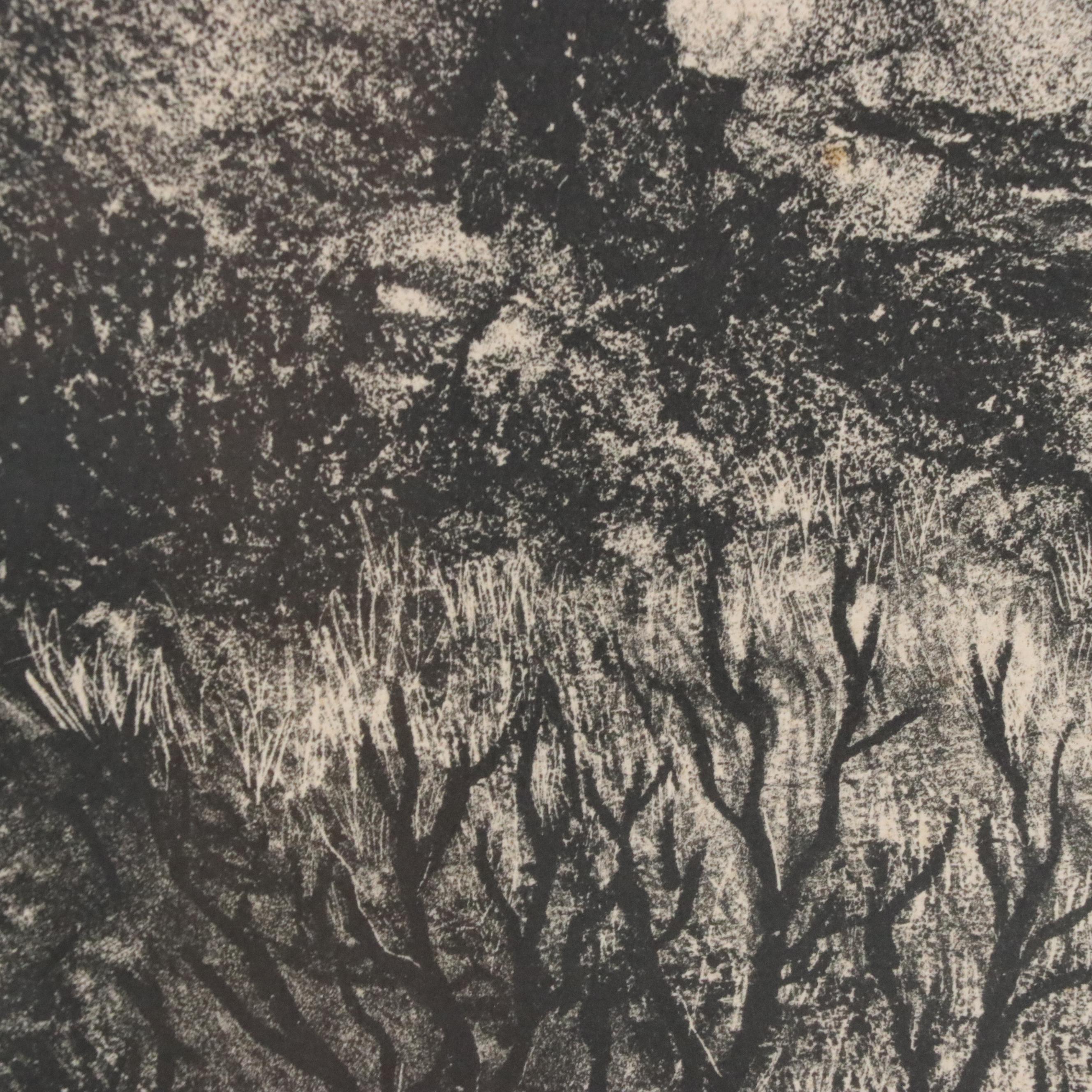 Harry F. Tepker Lithograph Landscape "Garden of the Gods, No. 1," 1942