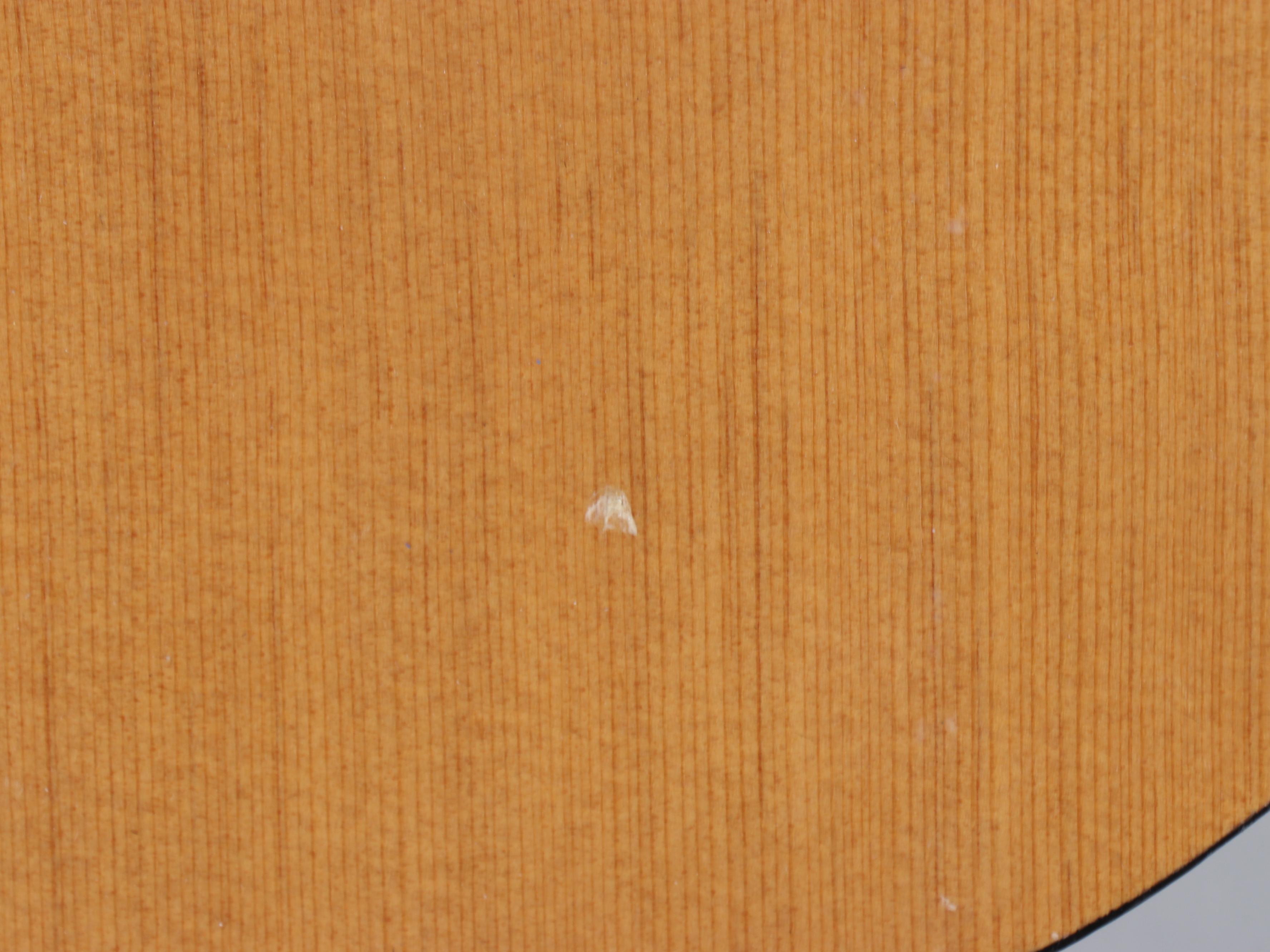 Burswood Spruce Top Acoustic Guitar with Alvarez Hard Case