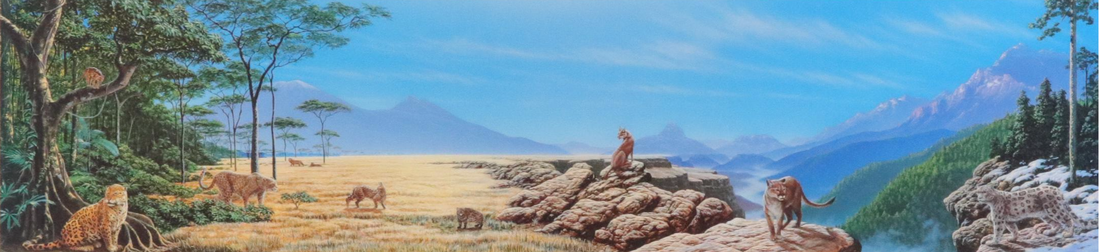 Cincinnati Zoo Cat House Poster After John Agnew, 1985