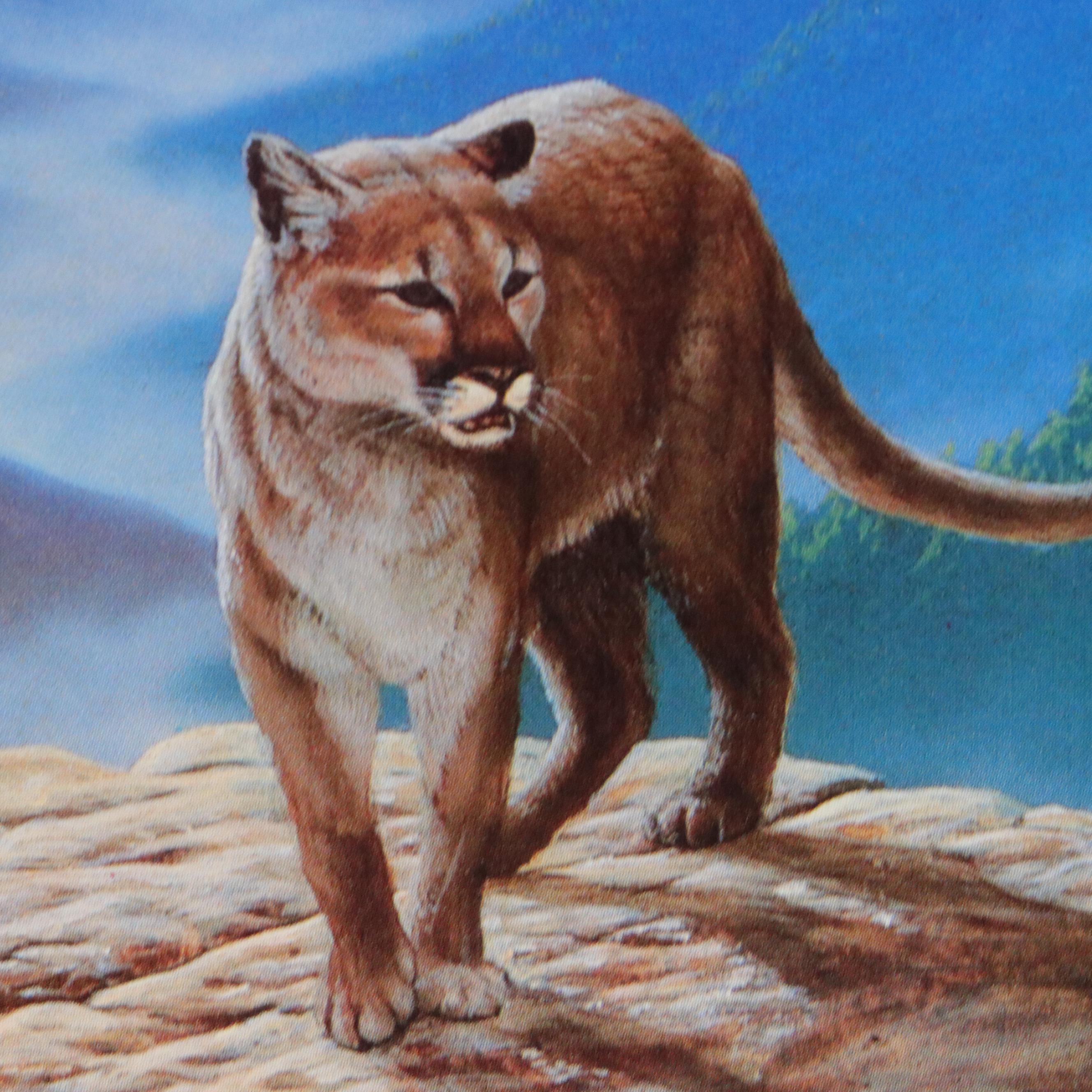 Cincinnati Zoo Cat House Poster After John Agnew, 1985