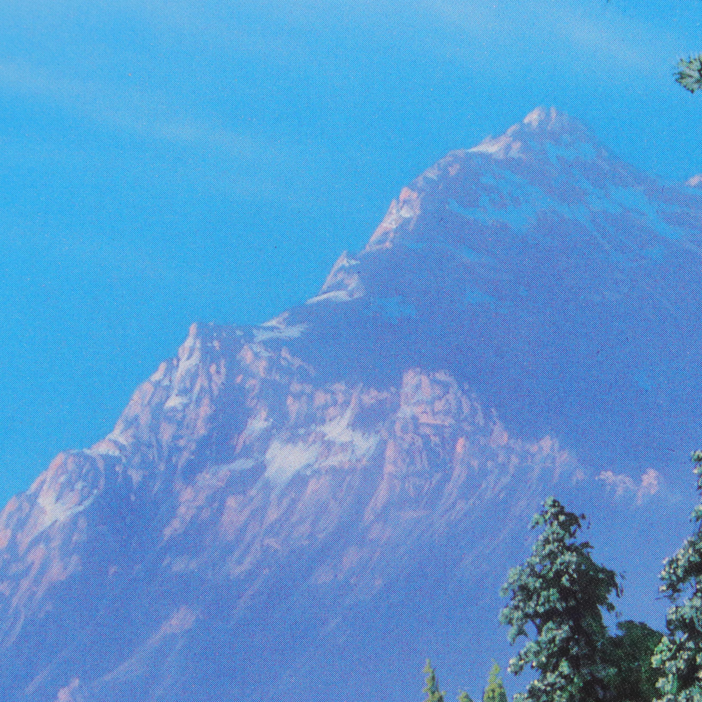 Cincinnati Zoo Cat House Poster After John Agnew, 1985