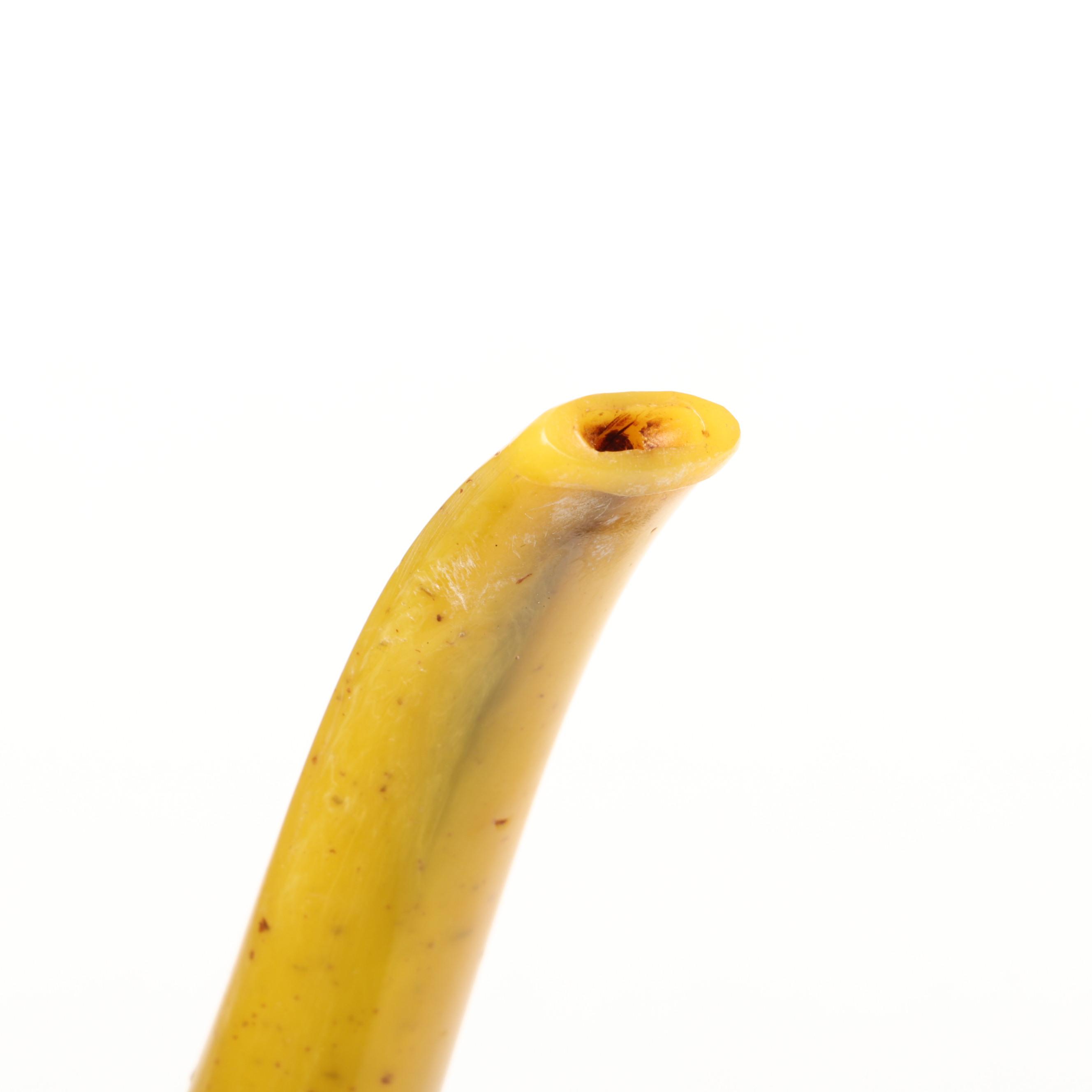 Carved Meerschaum Pipe in Hard Case